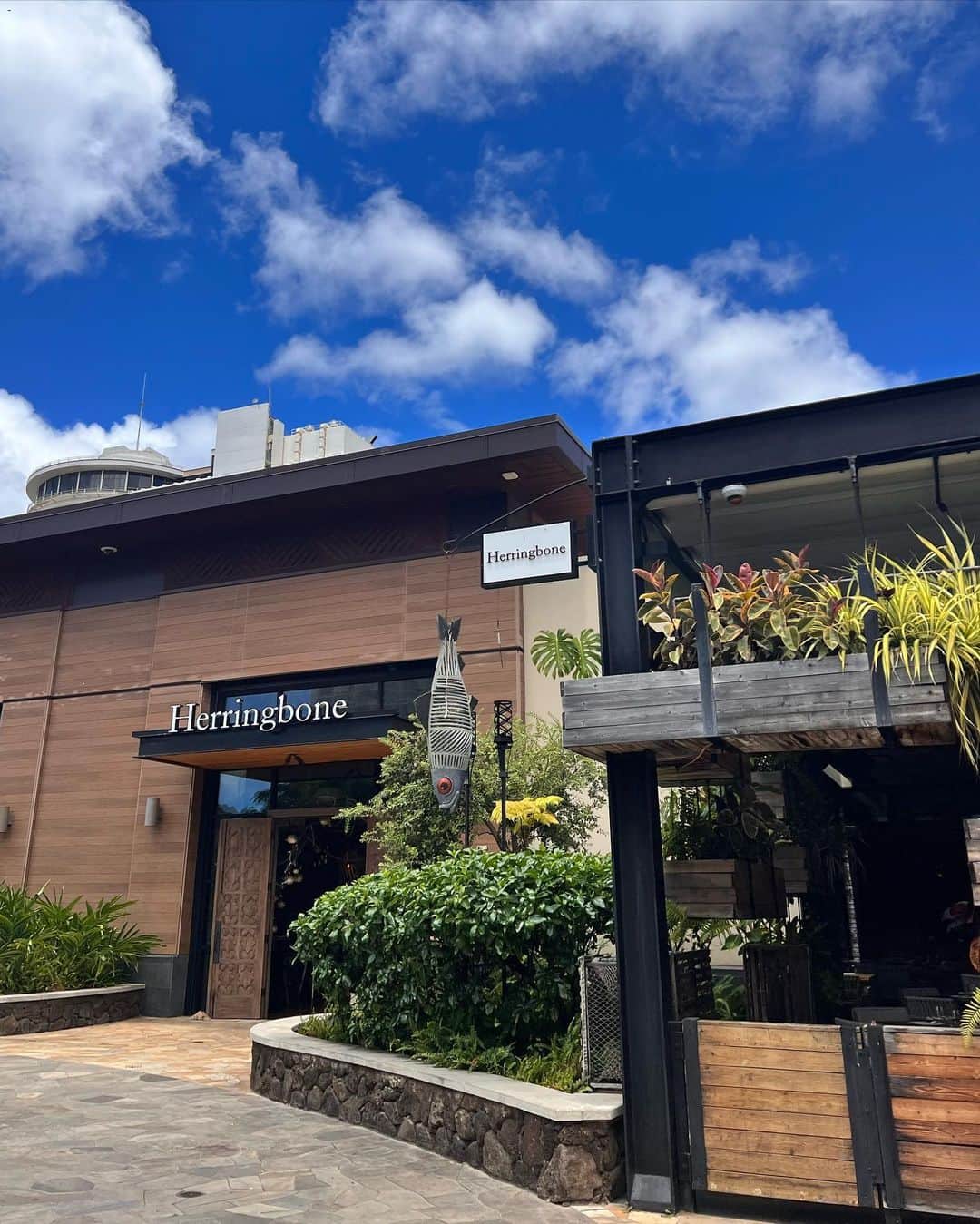 藤木そらさんのインスタグラム写真 - (藤木そらInstagram)「. . This is the best seafood restaurant in Waikiki 💜💙Everything is so delicious that I'm happy🥹💓 Just walking around Waikiki is fun ꒰ ¨̮ ꒱⸝♡ .  ワイキキでシーフードが美味しいお店 @herringbonewaikiki 🥰🥰 . .食べたかったメニューが全然英語伝わらなくて頼めなかったけど、全部美味しすぎました(｡•᎑•｡)♡♬ . .ハワイでも海鮮ばっかり😂💜💙生しか勝たん💚💛 . . .ワイキキの中心インターナショナルマーケットプレイスにあるよ⭐️ . . .シーフード食べたいならここ💜 . . .ワイキキ来たらとりあえずここで映え📸パシャリ😍❤️‍🔥トップス @egoist_official  . . . . . . . . . . . .#ワイキキグルメ #ハワイに恋して #ハワイに行きたい #ハワイ好きな人と繋がりたい #ハワイ旅行 #ハワイレストラン #ハウスツリー #herringbone #internationalmakeupartist #wikiki #ハワイグルメ #waikikieats #surfing #tabijomap_hawaii」10月6日 19時17分 - sorafujiki
