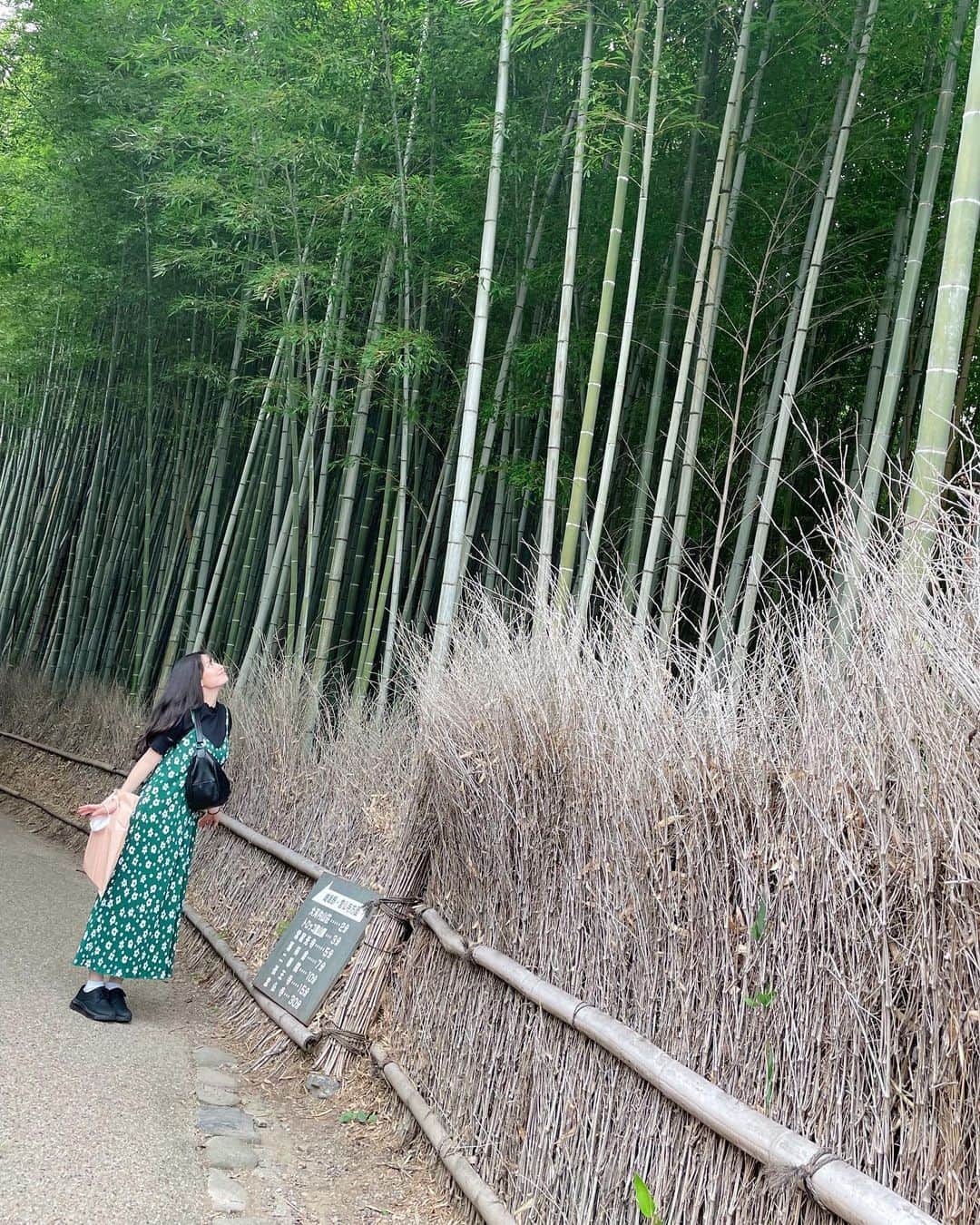 未梨一花さんのインスタグラム写真 - (未梨一花Instagram)「先月の京都にて   弾丸で嵐山散策しました🚶‍♀️    短時間だったけど食も名所もしっかり満喫できて楽しかったな~また行きたい♩   あと気になってた神社にも寄れました⛩ ご利益ありますように     #京都 #右京区 #嵐山 #渡月橋 #観光 #食べ歩き #竹林 #車折神社 #みりのしふく」10月8日 19時04分 - 1ka__3ri
