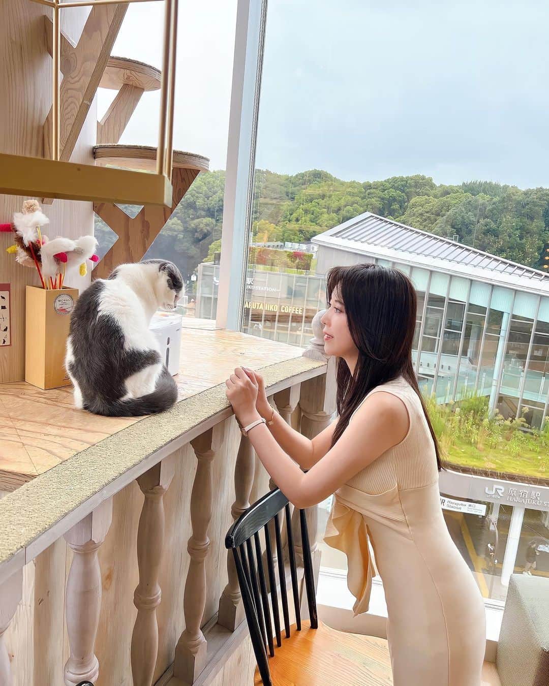 さわいえりさんのインスタグラム写真 - (さわいえりInstagram)「⠀ ここ1年ほど、 猫ちゃんを飼いたいってずっと思ってる🐈♡  大好きなお洒落な猫カフェ @mocha.harajyuku へ  猫ちゃん飼ったらどんな感じなのか、 どんな仔が居るのか実際に見て、 触れ合うことができてとても幸せ空間💕  猫ちゃん達はみんな大人しくて優しい性格で優雅✨ 子どもから大人まで楽しむことができます。  ジュース飲みながら、漫画読んだり まったりと過ごすことが出来たよ🥤  キャンディみたいな猫のおやつあげたら、 たくさん集まってきて最高だったの🍭 ペロペロ可愛かった〜₍˄·͈༝·͈˄₎ฅ  また癒されに来よっと🥰  猫カフェMOCHA 原宿店 📍東京都渋谷区神宮前1-14-25 クロスアベニュー原宿4階   ・  ・  ・  ・  #PR#猫カフェmocha #猫カフェ #原宿猫カフェ #原宿カフェ #ねこカフェ#表参道#原宿」10月9日 10時32分 - beauty_eri7