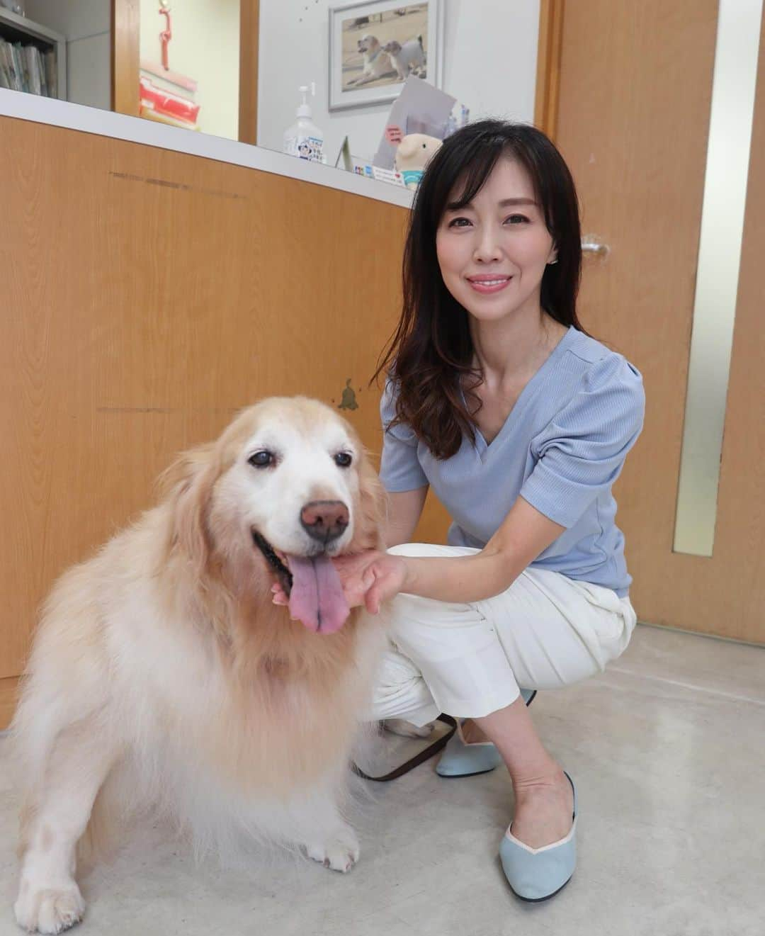 ImotoEtsuyo さんのインスタグラム写真 - (ImotoEtsuyo Instagram)「#愛犬  ココアと。 ・ 引越し前日に いつもお世話になっているところへ。 ・ 近いのでまた お世話になります。  #宜しくお願いします  #愛犬との暮らし  #ゴールデンレトリバー  #goldenretriever  #dog  #シャンプー  #トリミング #かわいい  #大好き」10月9日 19時04分 - bisuhada