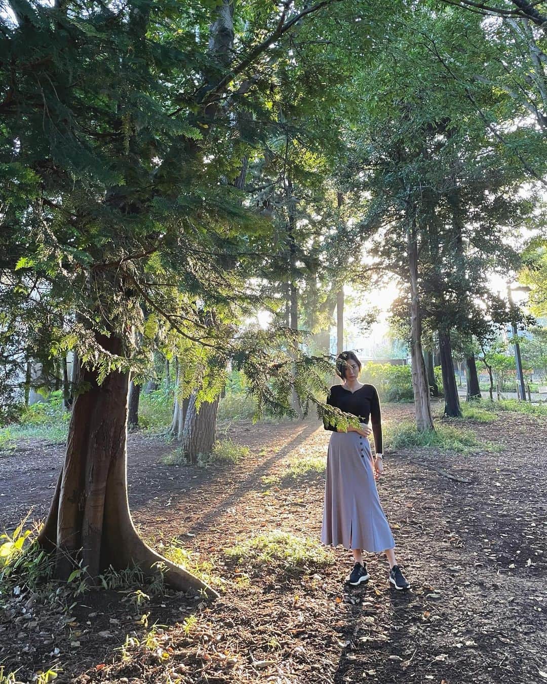 片山萌美さんのインスタグラム写真 - (片山萌美Instagram)「🌿  filtered sunlight of trees   #moemikatayama」10月10日 21時29分 - moet_mi