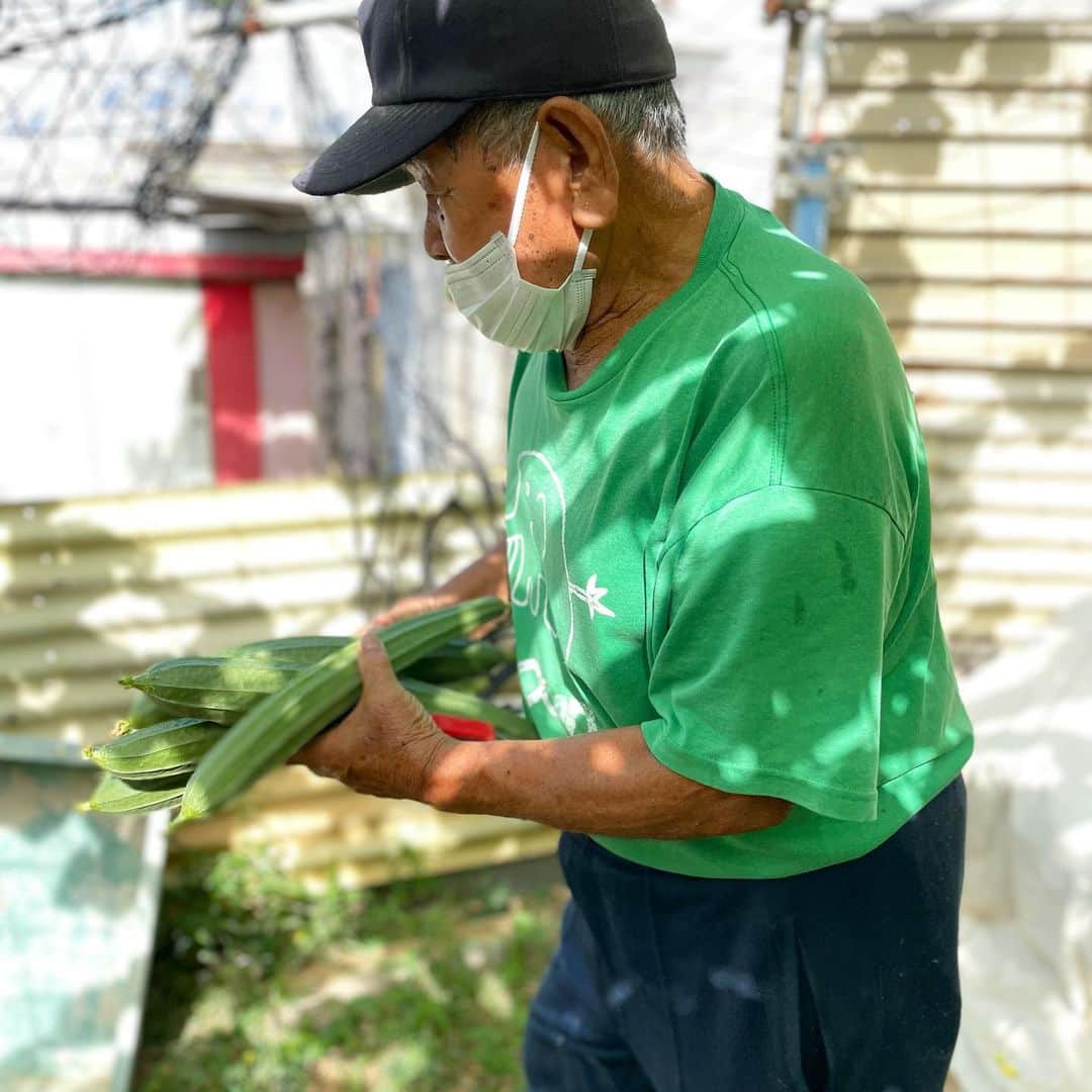 田中律子さんのインスタグラム写真 - (田中律子Instagram)「大好きなおじーの、トカドヘチマとドラゴンフルーツ❤️  90歳過ぎたおじーは、毎日朝と夕方に畑仕事🌞夏はゴーヤー（写真後ろ3枚は夏のゴーヤー）ゴーヤが終わると土を綺麗にして、ヘチマの棚を作る、肥料をたっぷりあげて、美味しいものを育てるのである❤️私は、いつもその美味しいもんをおすそ分けしてもらう☺️ドラゴンフルーツは、私のリクエストで今年も新しい株を植えて育ててくれた😍なんて最高なの、おじーラブ❤️  いただいたトカドヘチマは、皮をむいて、豚バラと出汁でくちゅくちゅーして食べたよ、これまた絶品、水は入れたらダメって何回もおじーに注意されるから、粉末出汁でね😂最後にオイスターソース入れたけど、美味しすぎる❤️  昔は漁師さんで魚を獲って、今は自分の土地で畑仕事🥒🍅めちゃくちゃ元気なおじー❤️長生きしてね、おじー✨  #okinawa  #okinawalife  #beachlife  #lifeisgood  #畑仕事  #おじーの野菜  #トカドヘチマ  #ドラゴンフルーツ」10月12日 11時28分 - ri2kotanaka