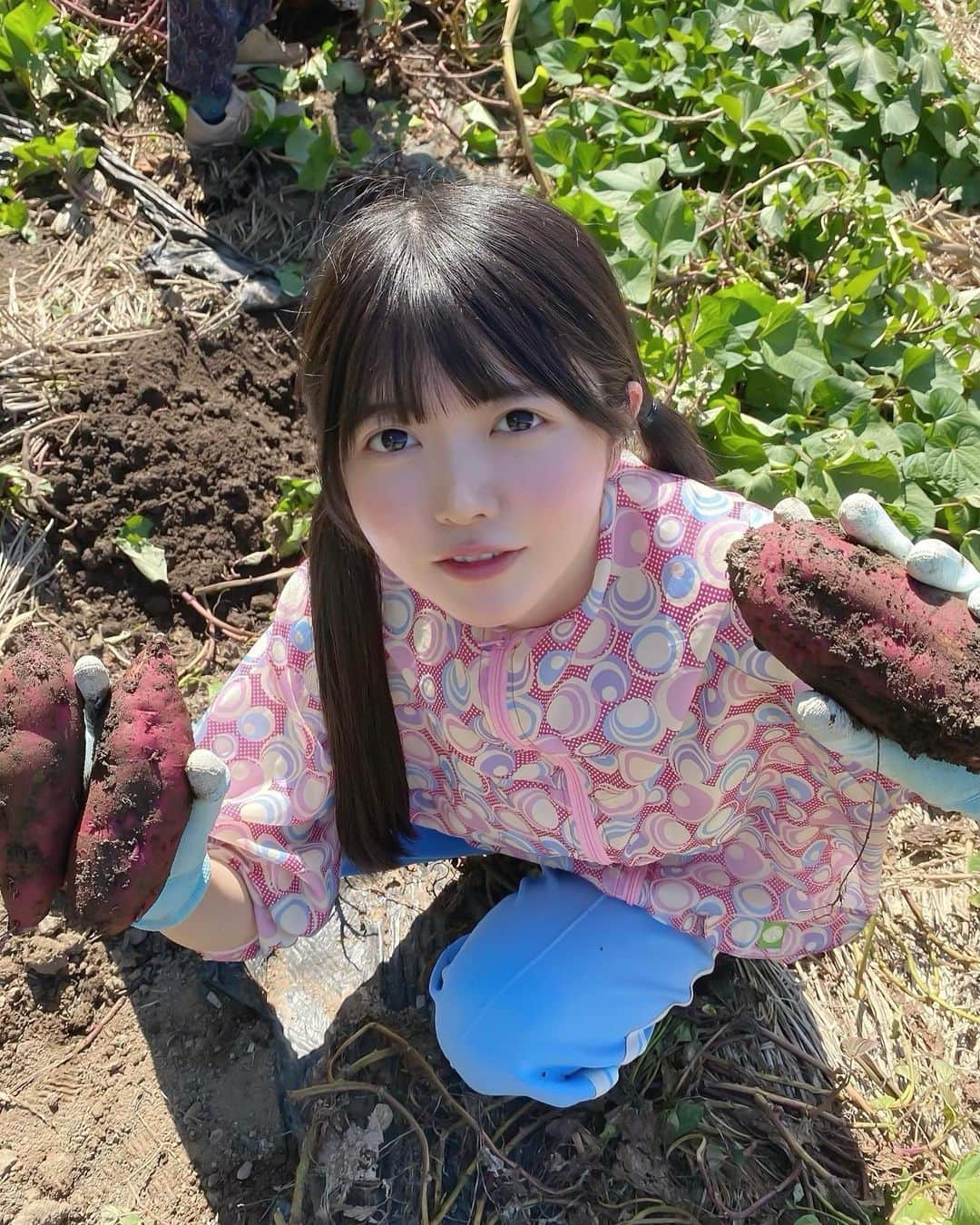 小野寺梓さんのインスタグラム写真 - (小野寺梓Instagram)「実りの秋🍁  長野県のえまちゃんのおばあちゃんのおうちで農作業のお手伝いをしたよ！ お米と枝豆とネギとさつまいも！   #長野  #畑  #真っ白なキャンバス  #白キャン  #小野寺梓」10月12日 22時53分 - onoderaco