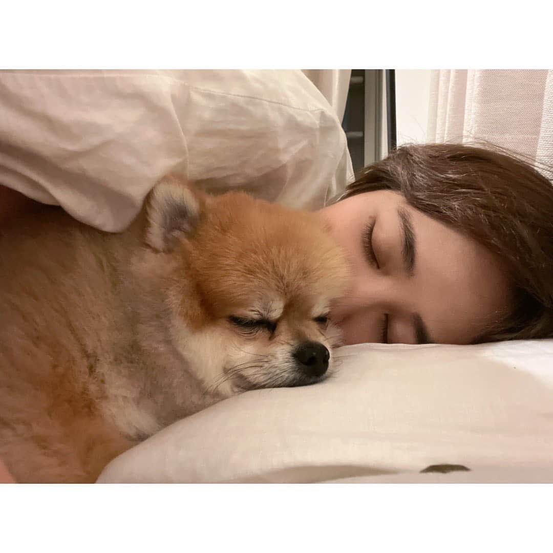 吉谷彩子さんのインスタグラム写真 - (吉谷彩子Instagram)「good night ⭐💤🌙😴」10月13日 0時18分 - ayako_yoshitani
