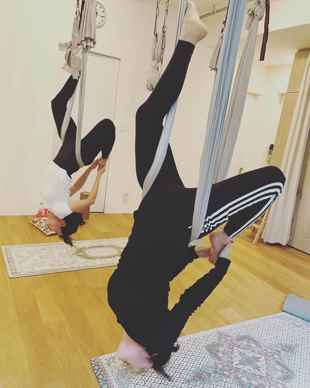 内田恭子さんのインスタグラム写真 - (内田恭子Instagram)「こんにちは。  先日、桐島のりこちゃん先生　@noriko_kirishima のヨガで久しぶりのエアリアルをやりました。逆転のポーズ、気持ち良すぎるー。普段伸びないところが伸びる。ぐいーんとね。  #yoga #aerialyoga #ヨガ #エアリアルヨガ #ストレッチ #メインテナンス #シルクドソレイユではありません　#内田恭子 #kyokouchida」10月19日 17時18分 - kyoko.uchida.official