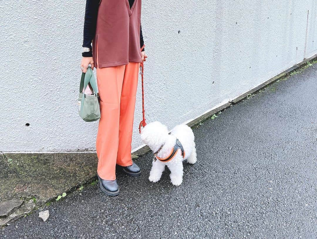 安田美沙子さんのインスタグラム写真 - (安田美沙子Instagram)「はんなとお散歩🐶  最近の私は涙脆い。  はんな、腎臓が悪くなってしまい毎日点滴してます。  食欲もあんまりないけど 一時期よりは元気で、昨日は 1時間散歩しました🤍  はんなもがんばってる。 私もがんばろう。  #hanna #bichonfrise  #dog #family #15さい」10月20日 11時48分 - yasuda_misako