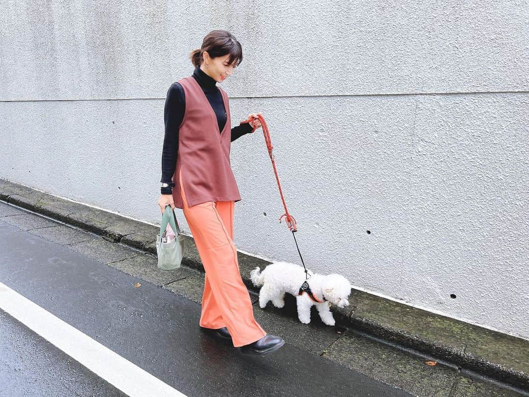 安田美沙子さんのインスタグラム写真 - (安田美沙子Instagram)「はんなとお散歩🐶  最近の私は涙脆い。  はんな、腎臓が悪くなってしまい毎日点滴してます。  食欲もあんまりないけど 一時期よりは元気で、昨日は 1時間散歩しました🤍  はんなもがんばってる。 私もがんばろう。  #hanna #bichonfrise  #dog #family #15さい」10月20日 11時48分 - yasuda_misako