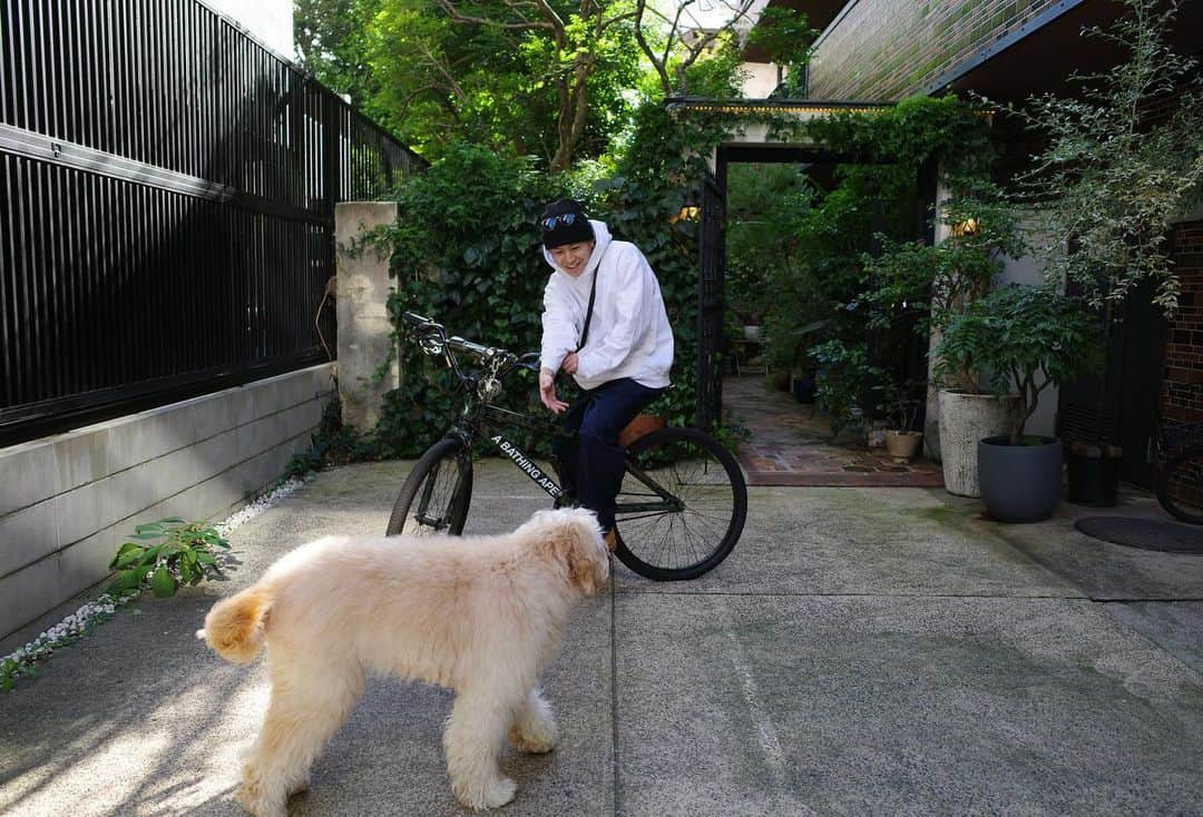 瀬口黎弥さんのインスタグラム写真 - (瀬口黎弥Instagram)「☀️✨📸🐶 友達の美容室でワン子と俺。」10月20日 19時12分 - leiya_seguchi_official