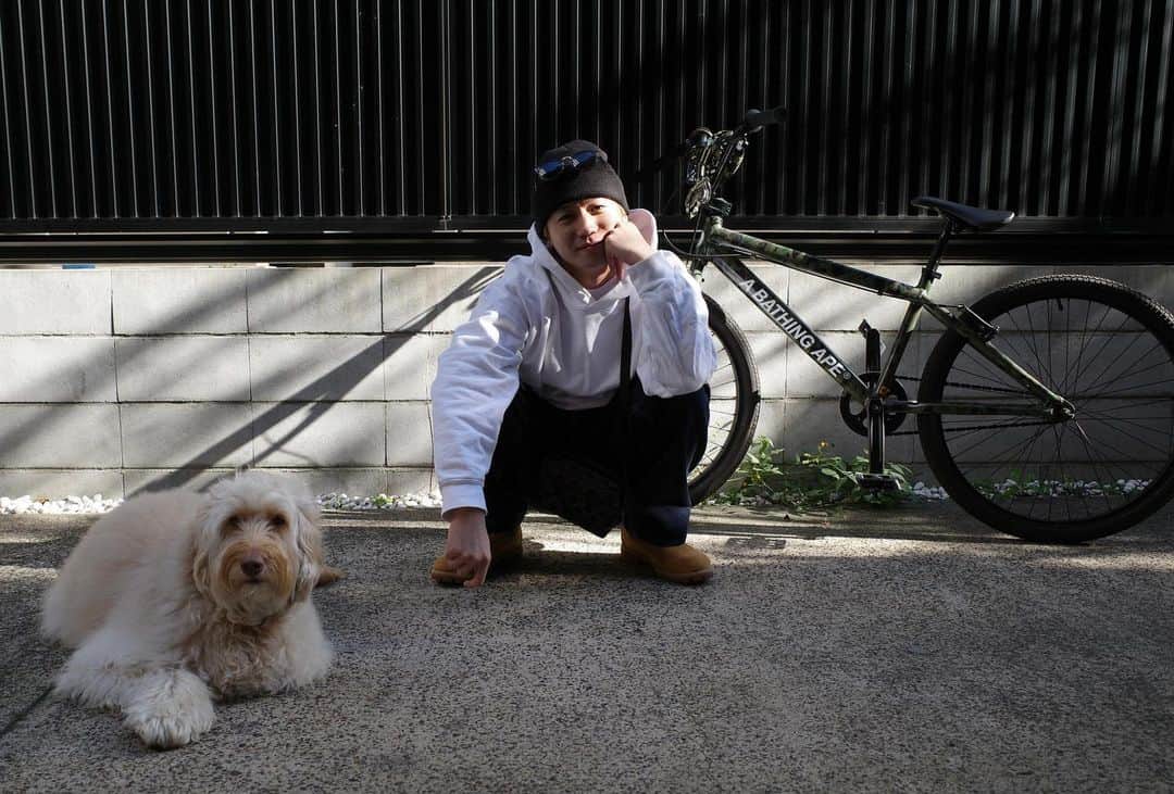 瀬口黎弥さんのインスタグラム写真 - (瀬口黎弥Instagram)「☀️✨📸🐶 友達の美容室でワン子と俺。」10月20日 19時12分 - leiya_seguchi_official