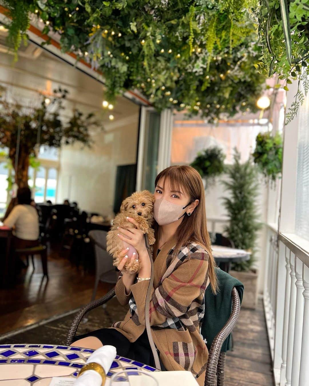 美香さんのインスタグラム写真 - (美香Instagram)「tia初めてのお散歩🐶❤️  #mikatiatia」10月22日 19時23分 - mikaofficial99