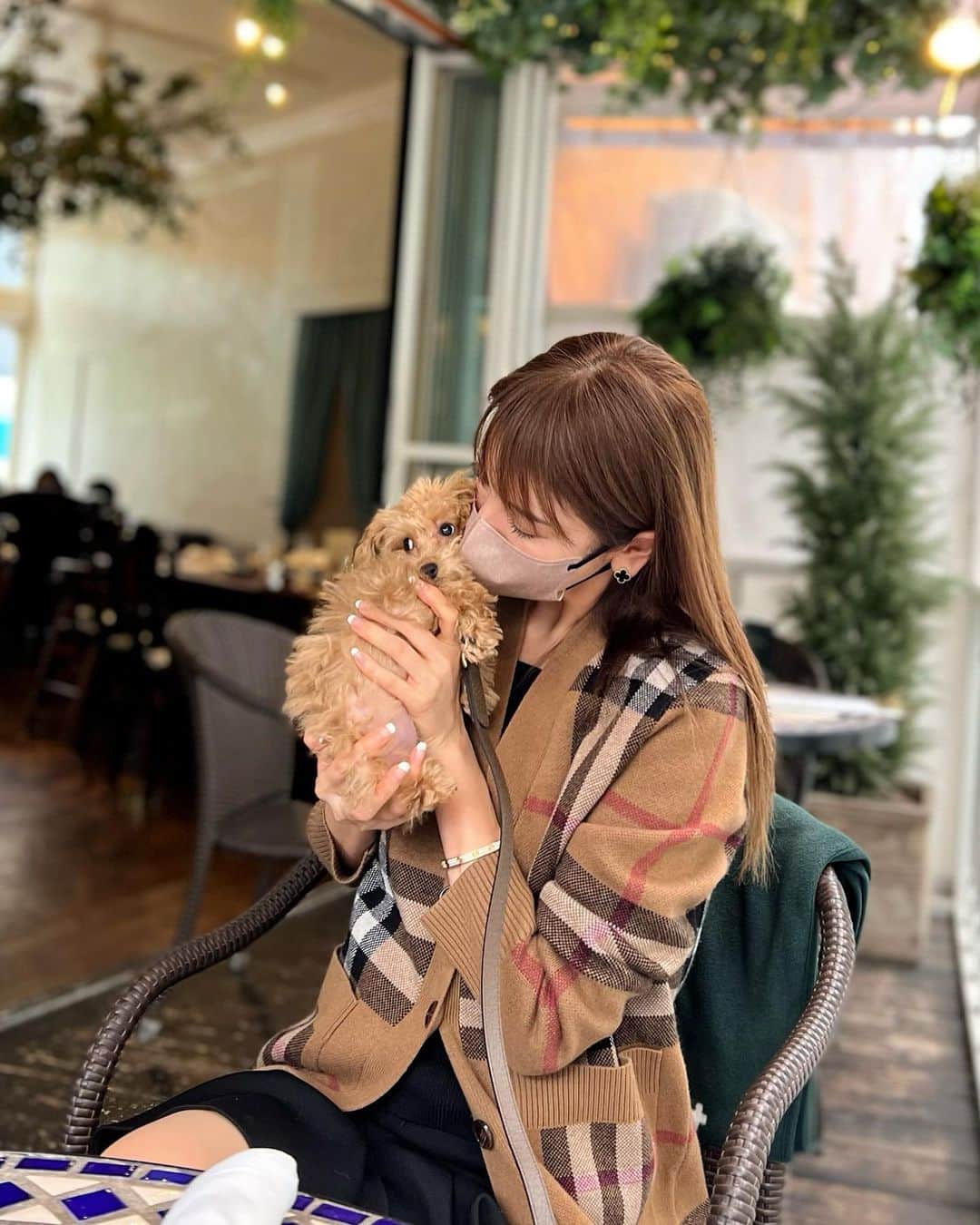 美香さんのインスタグラム写真 - (美香Instagram)「tia初めてのお散歩🐶❤️  #mikatiatia」10月22日 19時23分 - mikaofficial99