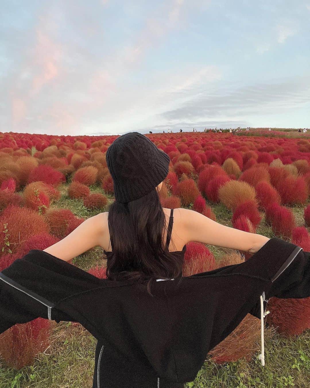 重盛さと美さんのインスタグラム写真 - (重盛さと美Instagram)「大好きな場所😍🙂🌈🍁🍂✨  #年に2回必ずくる場所  #ひたち海浜公園」10月25日 20時17分 - satomi_shigemori