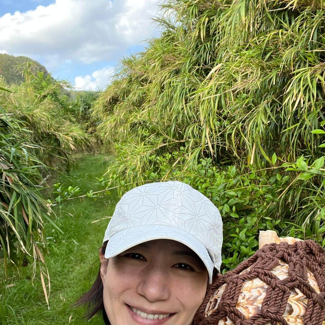 馬場典子さんのインスタグラム写真 - (馬場典子Instagram)「昨日の投稿で、#久米島 に行ったことがある友人知人が多いことを知り、嬉しい驚き。  今回、宮古島生まれの法螺貝も連れて行きました。 故郷の近くに里帰り？ 日頃放ったらかしなので、ここぞとばかりにブーブー立てまくりました。  タチジャミ、その近くの滝、島の頂上にあるグスク、アーラ浜などは1人で巡りました。  アーラ浜では、私を木と間違えたのか？蝉が突然飛んできて、しばらく留まってました。 すみません、初めて、蝉をかわいいと思いました。 これも、久米島の優しい空気感の賜物かしら…  お仕事の合間をぬっておもてなししてくれた友人のお陰で最高の時間を過ごしましたが、1人で気ままに動くのもまた楽し、でした。  #馬場典子 #ばばちゃんネル」10月26日 16時18分 - baba_channel