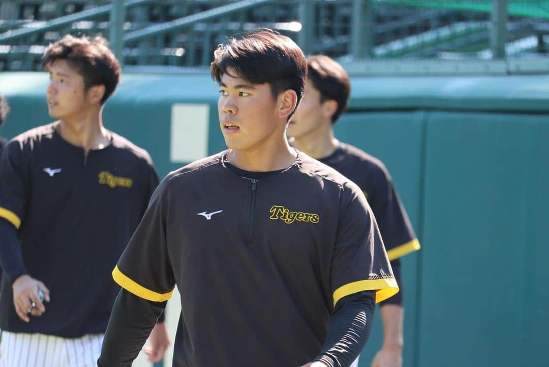 阪神タイガースさんのインスタグラム写真 - (阪神タイガースInstagram)「10月28日、甲子園球場での秋季練習の様子です！ #及川雅貴 選手 #鈴木勇斗 選手 #才木浩人 選手 #陽川尚将 選手 #坂本誠志郎 選手 #板山祐太郎 選手 #佐藤輝明 選手 #中野拓夢 選手 #近本光司 選手 #岡田彰布 監督 #阪神タイガース  #秋季練習」10月28日 18時21分 - hanshintigers_official