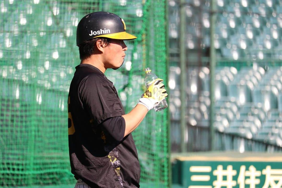 阪神タイガースさんのインスタグラム写真 - (阪神タイガースInstagram)「10月29日、甲子園球場での秋季練習の様子②です！ #木浪聖也 選手 #髙山俊 選手 #山本泰寛 選手 #梅野隆太郎 選手 #渡邉諒 選手 #髙濱祐仁 選手 #中野拓夢 選手 #北條史也 選手 #糸原健斗 選手 #岡田彰布 監督 #阪神タイガース  #秋季練習」10月29日 21時35分 - hanshintigers_official