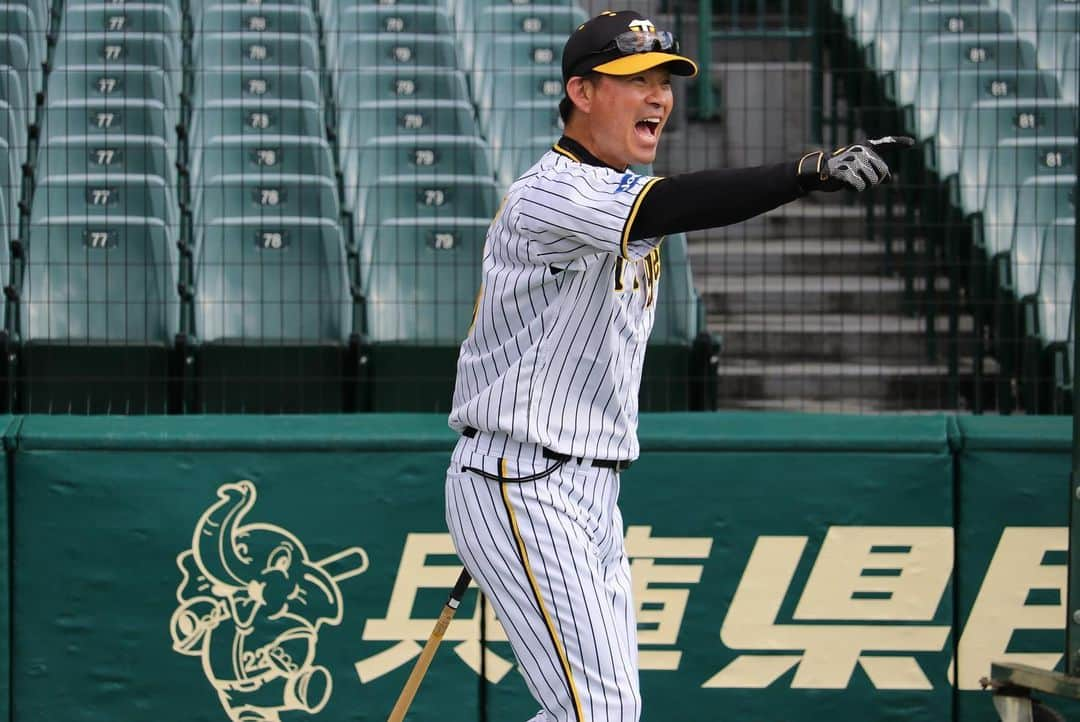 阪神タイガースさんのインスタグラム写真 - (阪神タイガースInstagram)「10月30日、甲子園球場での秋季練習の様子①です！ #渡邉諒 選手 #北條史也 選手 #陽川尚将 選手 #木浪聖也 選手 #板山祐太郎 選手 #髙山俊 選手 #糸原健斗 選手 #大山悠輔 選手 #山本泰寛 選手 #筒井壮 コーチのノックに不満げな #近本光司 選手 #植田海 選手 #阪神タイガース  #秋季練習」10月30日 18時47分 - hanshintigers_official