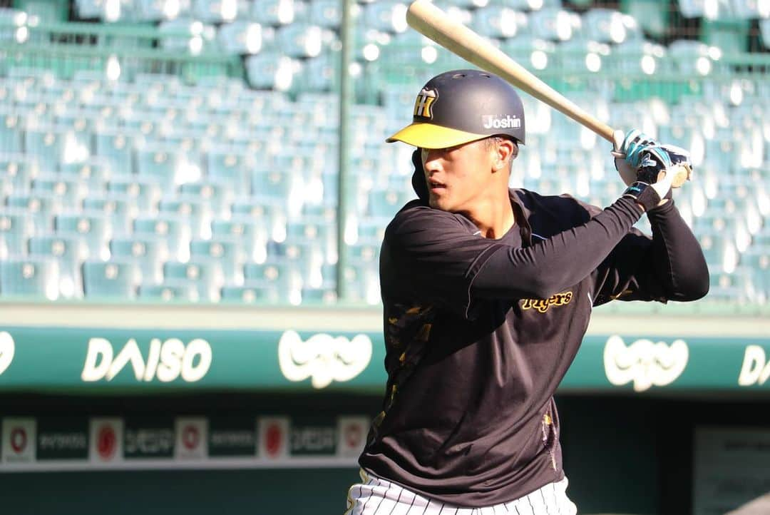 阪神タイガースさんのインスタグラム写真 - (阪神タイガースInstagram)「10月30日、甲子園球場での秋季練習の様子①です！ #渡邉諒 選手 #北條史也 選手 #陽川尚将 選手 #木浪聖也 選手 #板山祐太郎 選手 #髙山俊 選手 #糸原健斗 選手 #大山悠輔 選手 #山本泰寛 選手 #筒井壮 コーチのノックに不満げな #近本光司 選手 #植田海 選手 #阪神タイガース  #秋季練習」10月30日 18時47分 - hanshintigers_official