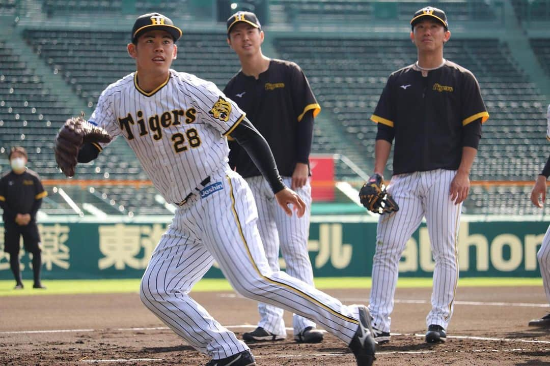 阪神タイガースさんのインスタグラム写真 - (阪神タイガースInstagram)「10月30日、甲子園球場での秋季練習の様子②です！ #川原陸 選手 #伊藤将司 選手 #島本浩也 選手 #鈴木勇斗 選手 #及川雅貴 選手 #村上頌樹 選手 #才木浩人 選手 #西純矢 選手 #浜地真澄 選手 #平田勝男 ヘッド #湯浅京己 選手 #阪神タイガース  #秋季練習」10月30日 20時11分 - hanshintigers_official