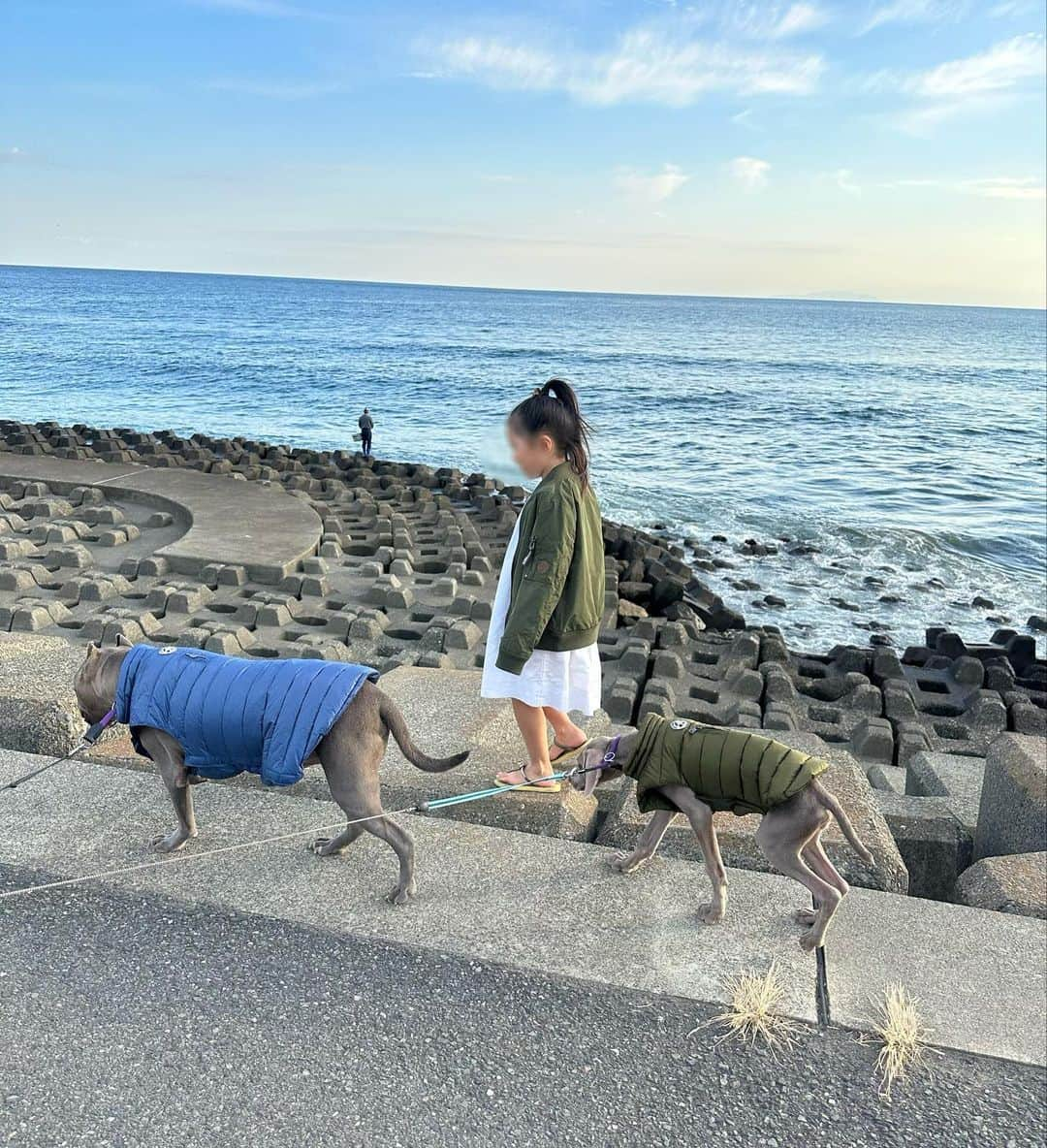 鈴木六夏さんのインスタグラム写真 - (鈴木六夏Instagram)「私のダウンベスト 。 リバーシブルで裏はファー🤍  娘は白ドレスにMA-1風のコーデ。 @byjott @jottjapan   中は EVERYDAY DRESS 白ロング。  半袖＋ベスト。 この時期だけの可愛いコンビ！  プリンセス、ベソかき、泣いて、抱っこ抱っこのその直後、うきゃきゃとはしゃいでひょうきん娘、そしてお母さんこの顔やって次はこの顔と要求and写真撮らさせる😂💦お願い、 30秒だけ静かな時間を私にください😅   #riccascloset #riccaミニマムクローゼット」10月30日 23時24分 - rikuka.62