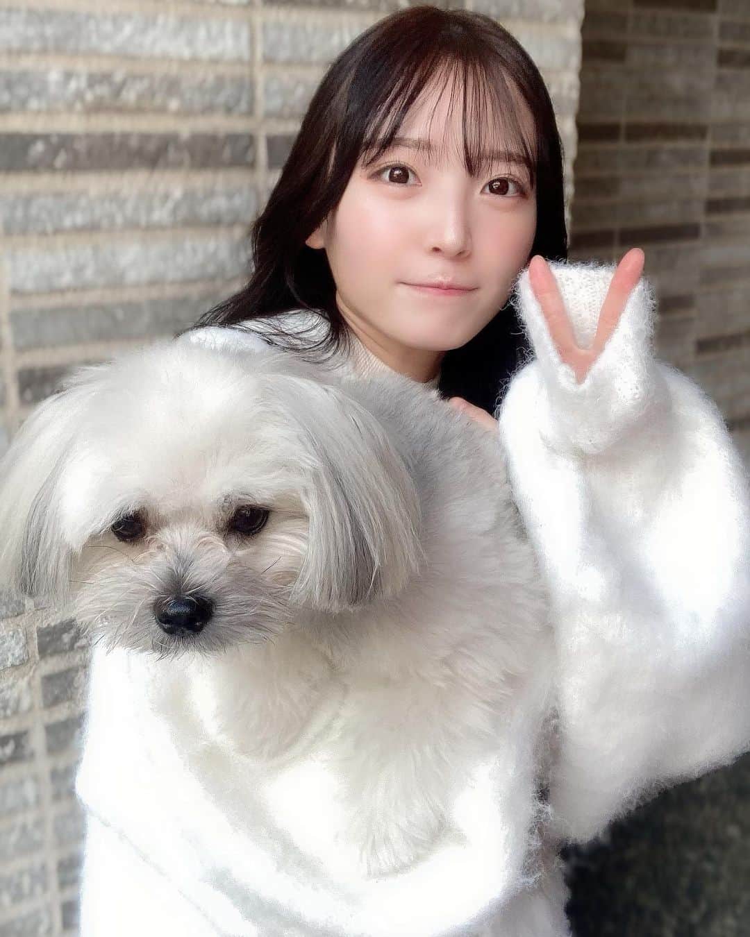 白石夢来さんのインスタグラム写真 - (白石夢来Instagram)「#犬のいる暮らし ＾＾」10月31日 0時30分 - yurayura_yuuura