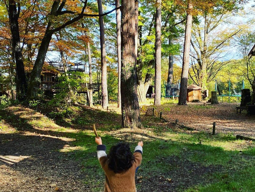 滝川クリステルさんのインスタグラム写真 - (滝川クリステルInstagram)「紅葉の季節ですね🍁 森林浴のありがたさ✨ 今日も綺麗な青空です。 大きく深呼吸 ステキな１週間を🌿🍂🍁🌳 #美しい自然 #滝川クリステル #自然の中にいるときの息子が本当に嬉しそう #土の上はなるべく裸足に」10月31日 10時43分 - christeltakigawa