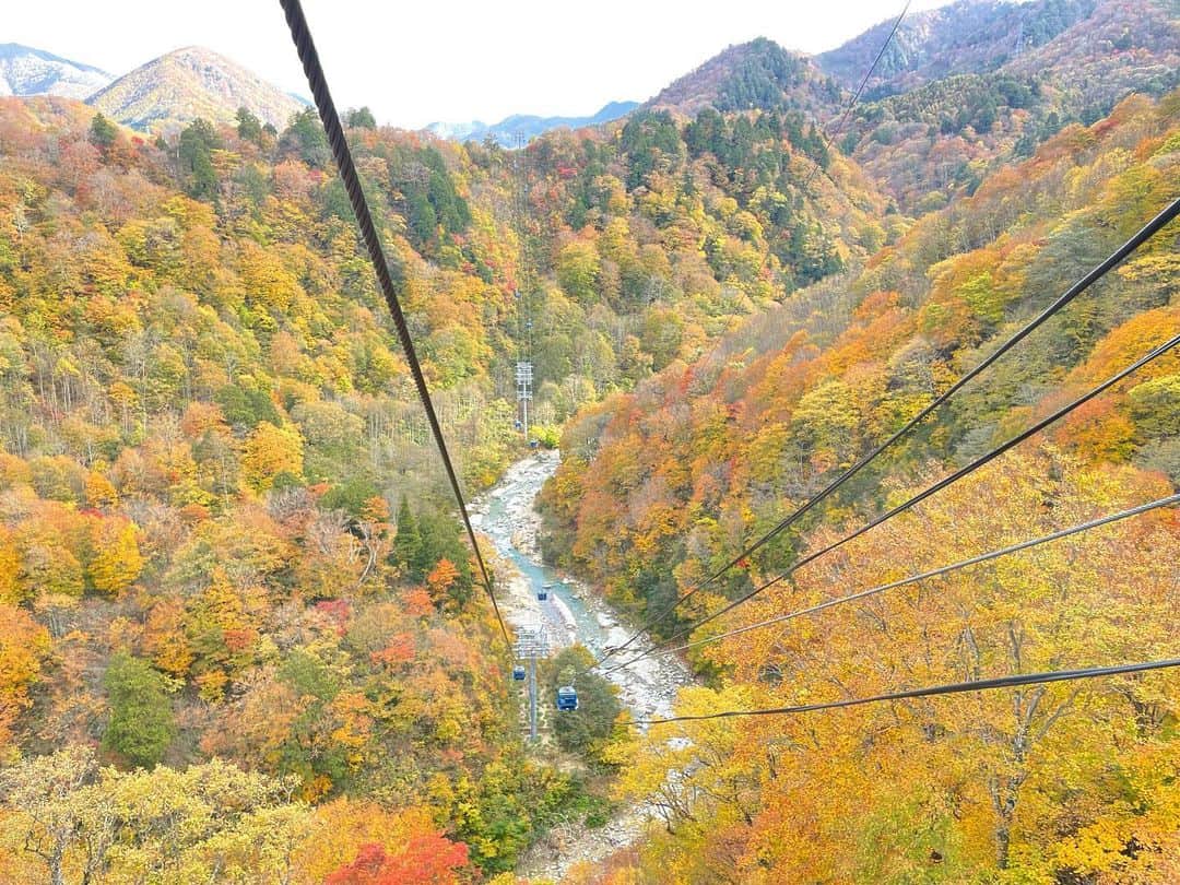 角田奈緒子さんのインスタグラム写真 - (角田奈緒子Instagram)「🍁 SUNトピのロケで 新潟県の苗場にいってきました！ 日本一長いゴンドラであるドラゴンドラから眺める紅葉は絶景🍁🐉  手持ちのiPhoneカメラで撮ってもこの美しさです。 もう言葉無くとも写真をみたらお分かりいただけると思うのですが、 息を呑むほどの感動的な景色でした。 まさに錦秋。 絶対にまた行こう。  何気に新潟初上陸でした🫢（多分）  #苗場 #苗場ドラゴンドラ #二居湖  #紅葉 #紅葉狩り #絶景  #view #autumnvibes🍁  #nスタ #日曜nスタ #sunトピ」10月31日 19時36分 - naokoon1122
