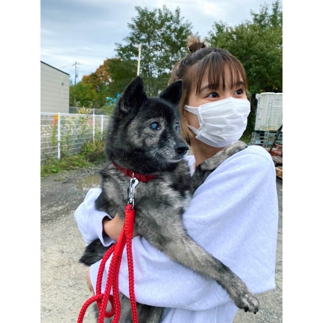 芳根京子さんのインスタグラム写真 - (芳根京子Instagram)「🐶🗻」11月2日 16時58分 - yoshinekyoko