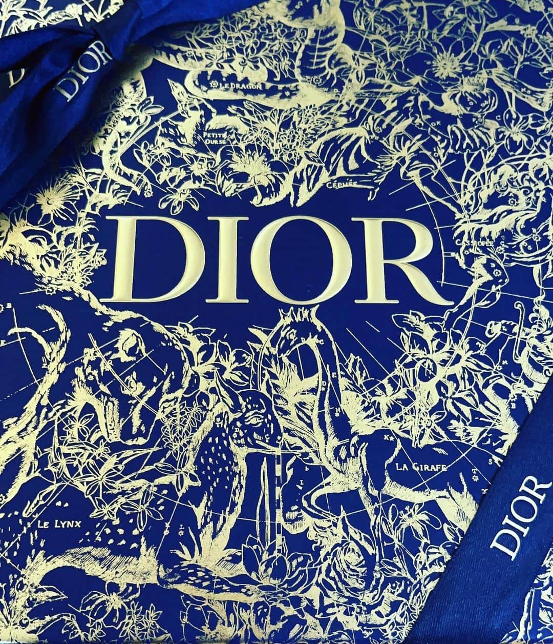 真木よう子さんのインスタグラム写真 - (真木よう子Instagram)「very nice correction😍😍😍  #christiandior #クリスマスコレクション2022 #dior #DiorBeauty #DiorMakeup #DiorHoliday #DreamIndior」11月3日 10時41分 - yokomaki_official