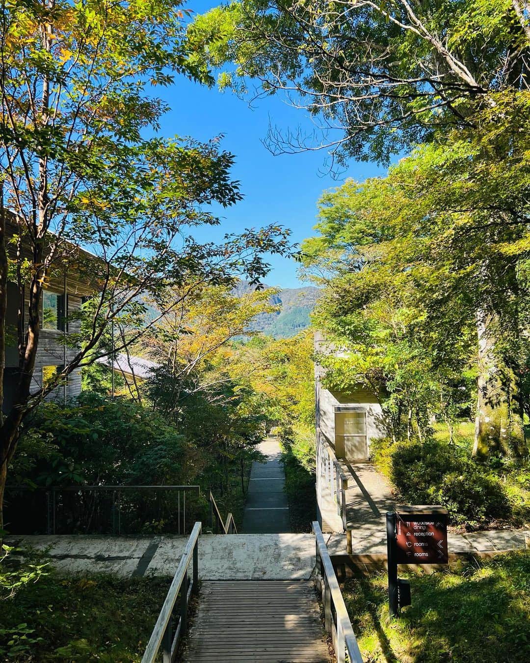 八木早希さんのインスタグラム写真 - (八木早希Instagram)「良い季節ですねー🍃🍁 出張帰りに、ふらり1人温泉♨️  #1人温泉#温泉#リトリート#onsen#retreat#hakone」11月5日 12時00分 - sakiyagi
