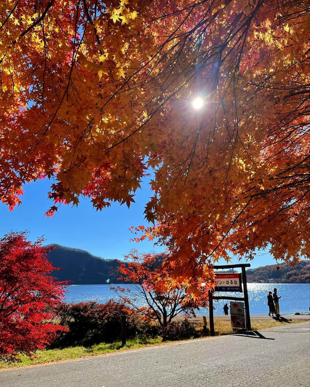 坂村かおるさんのインスタグラム写真 - (坂村かおるInstagram)「・ 紅葉が見たいと言う母と榛名湖へ ・ ちょうど見頃を迎えていました。 ・ 「見納めだと思って良く目に焼き付けておこう」とぽっりと言う母に「来年も来ようね」と約束🍁 ・ ありがとう！母を元気にしてくれて‥ ・ 若い頃は、紅葉なんて毎年見られる物だと思っていたけど、この年頃になると、毎年毎年が愛おしい‥ ・ ・  いつも「いいね！」を頂きありがとうございます。 皆さんのコメントに元気を貰っています😊  #クィーンオブ美魔女 #team美魔女 #美ST #坂村かおる #トータルビューティーアドバイザー #美しく老いる #バランス #美容 #コスメ #ファッション #今日のコーデ #トータルバランス #お洒落な人と繋がりたい #コスメ好きな人と繋がりたい #美意識高い人と繋がりたい #美魔女 #美魔女が変わる #アップデートしてる人と繋がりたい #自分らしくアップデート #紅葉 #榛名湖」11月6日 16時32分 - kaoru.sakamura