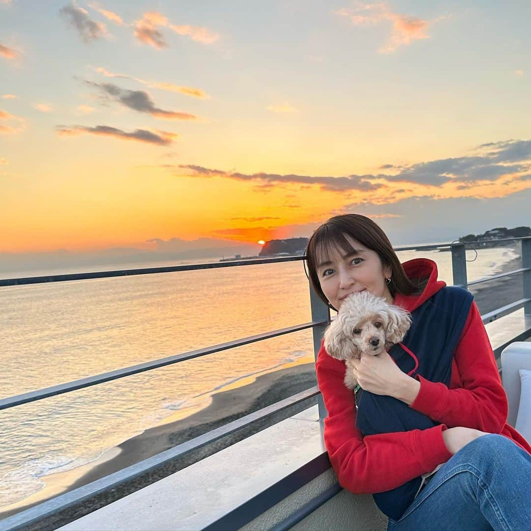 矢田亜希子さんのインスタグラム写真 - (矢田亜希子Instagram)「綺麗な夕焼け見られました🫶 #海#お散歩#愛犬#トイプードル#toypoodle #海大好きもなちゃん#ゆっくり時間#癒しだ#もなか#もなちゃん#ラグちゃん」11月6日 17時59分 - akiko_yada