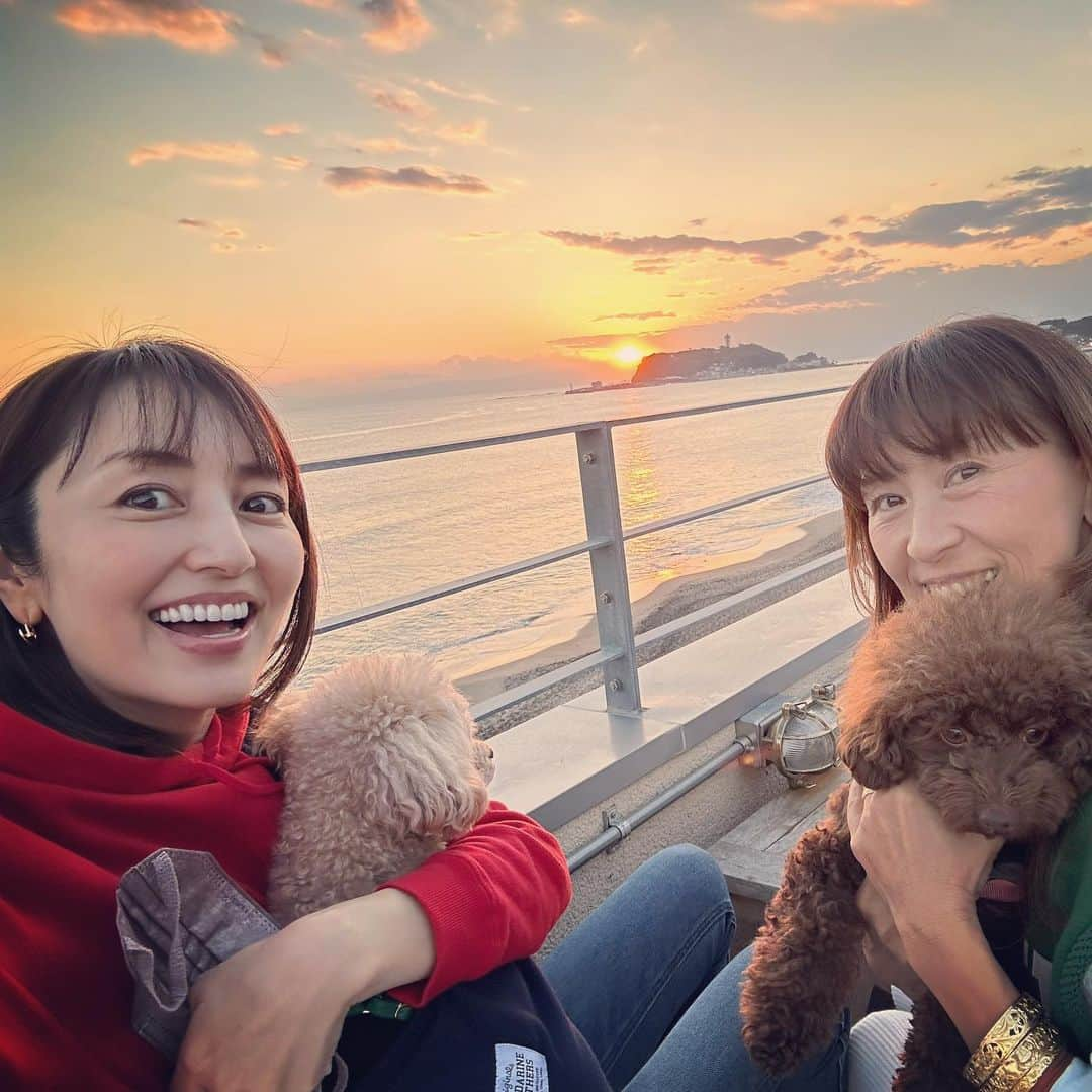 矢田亜希子さんのインスタグラム写真 - (矢田亜希子Instagram)「綺麗な夕焼け見られました🫶 #海#お散歩#愛犬#トイプードル#toypoodle #海大好きもなちゃん#ゆっくり時間#癒しだ#もなか#もなちゃん#ラグちゃん」11月6日 17時59分 - akiko_yada