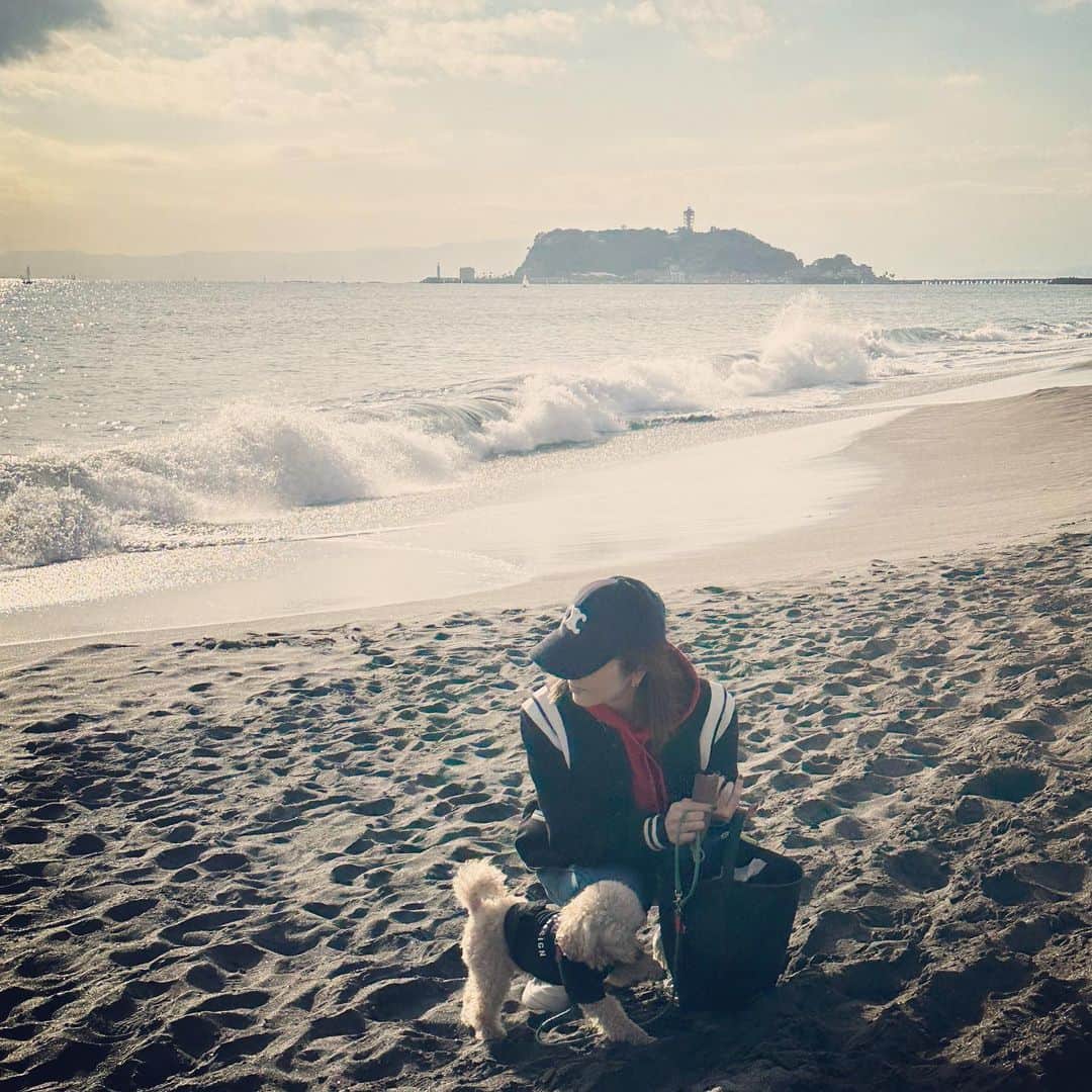 矢田亜希子さんのインスタグラム写真 - (矢田亜希子Instagram)「綺麗な夕焼け見られました🫶 #海#お散歩#愛犬#トイプードル#toypoodle #海大好きもなちゃん#ゆっくり時間#癒しだ#もなか#もなちゃん#ラグちゃん」11月6日 17時59分 - akiko_yada
