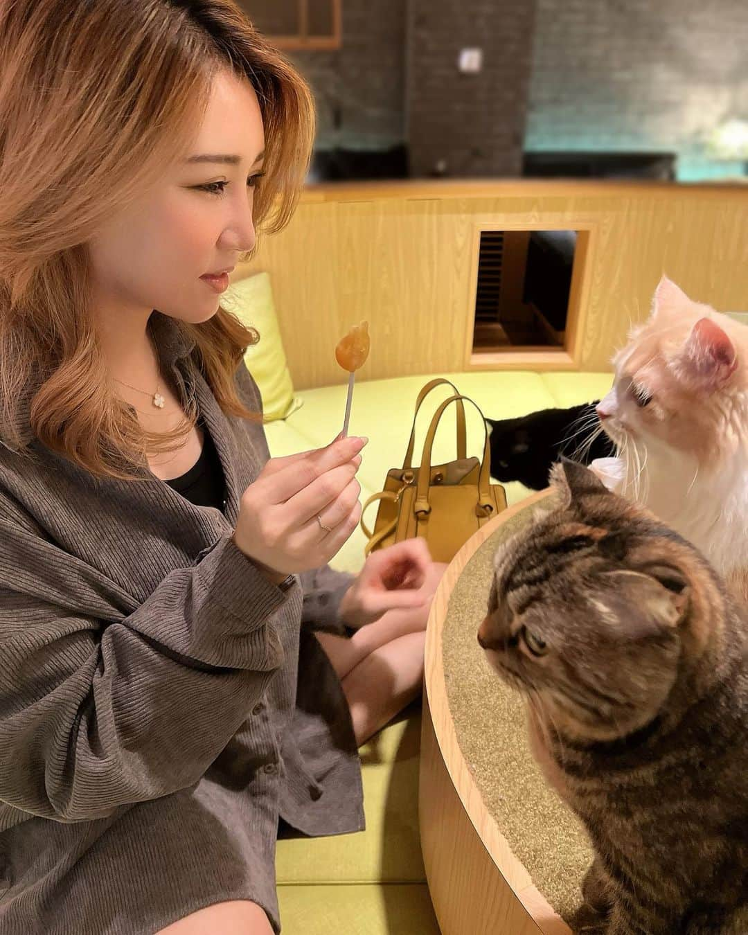 芹澤明日香さんのインスタグラム写真 - (芹澤明日香Instagram)「. 初めての猫cafe行ってきました🐈💕  本読めたり、💻できたり、ソファーや 椅子、寝転がれる場所あったりで 綺麗で癒される空間でした♡*ﾟ¨ﾟﾟ  猫ちゃん用のお菓子もあって『猫アイス』🍭 それ持ったらたくさんの猫達寄ってきて ペロペロしたり、ちょうだいって私の手を 抑えてきたりで可愛いすぎた😍❤️ 可愛い猫ちゃん達の中でも、つぶあんちゃん こしあんちゃんの黒猫ちゃんがお気に入り🐈‍⬛🖤  @mocha.sinjyuku  新宿以外にもたくさん店舗あるので 是非行ってみて下さい💋  #猫カフェmocha #猫カフェ  #新宿猫カフェ #猫部 #猫写真  #新宿カフェ #癒しの時間  #遊び場 #かわいい #PR #笑顔が人を幸せにする」11月7日 10時25分 - 1219asuka