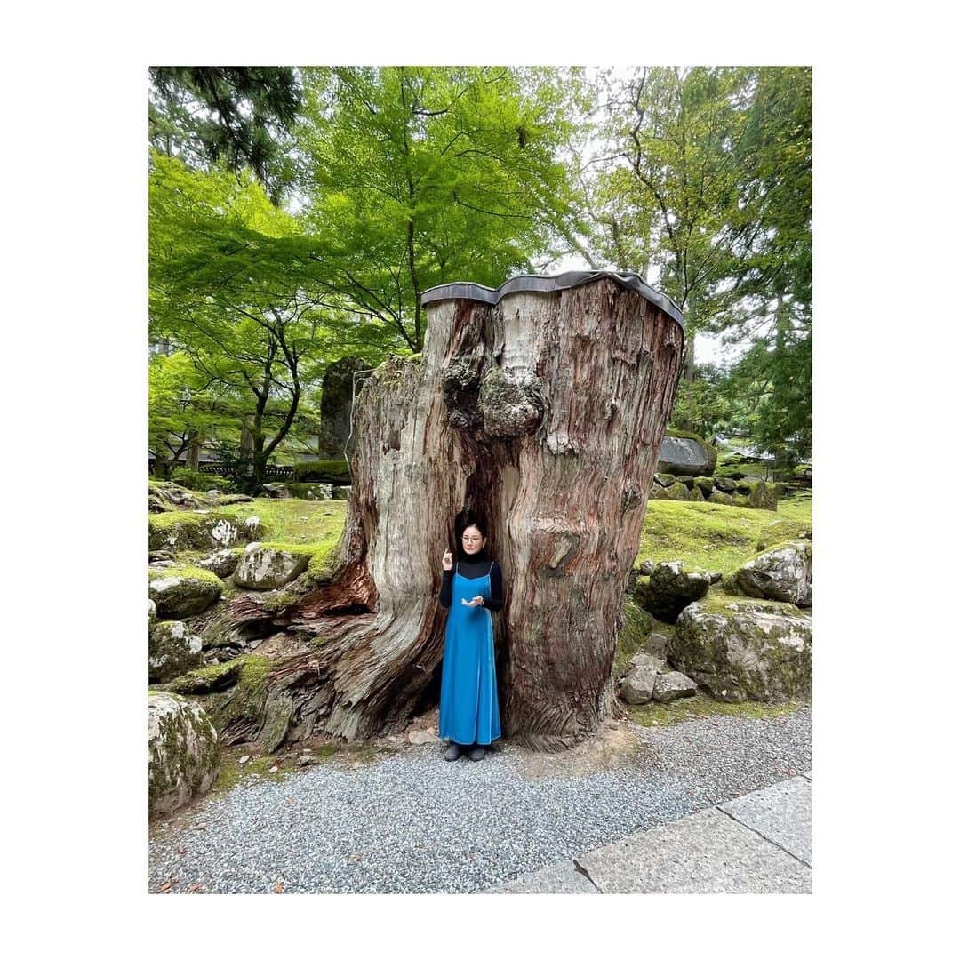 吉田羊さんのインスタグラム写真 - (吉田羊Instagram)「本日発売の 「大人のおしゃれ手帖」12月号。  石川県と福井県の県境エリア、 加賀越前の旅に行ってきました。  技と伝統を、 いにしえから現代、 そして未来へ。 新しい風も吹きこみつつ。  大人も まだ大人でない方も ぜひ。  Check out the new magazine released today.  #otonanoosharetecho  #加賀越前 #顔出しパネル #久しぶり #蟹なのか羊なのか」11月7日 16時05分 - yoshidayoh_official
