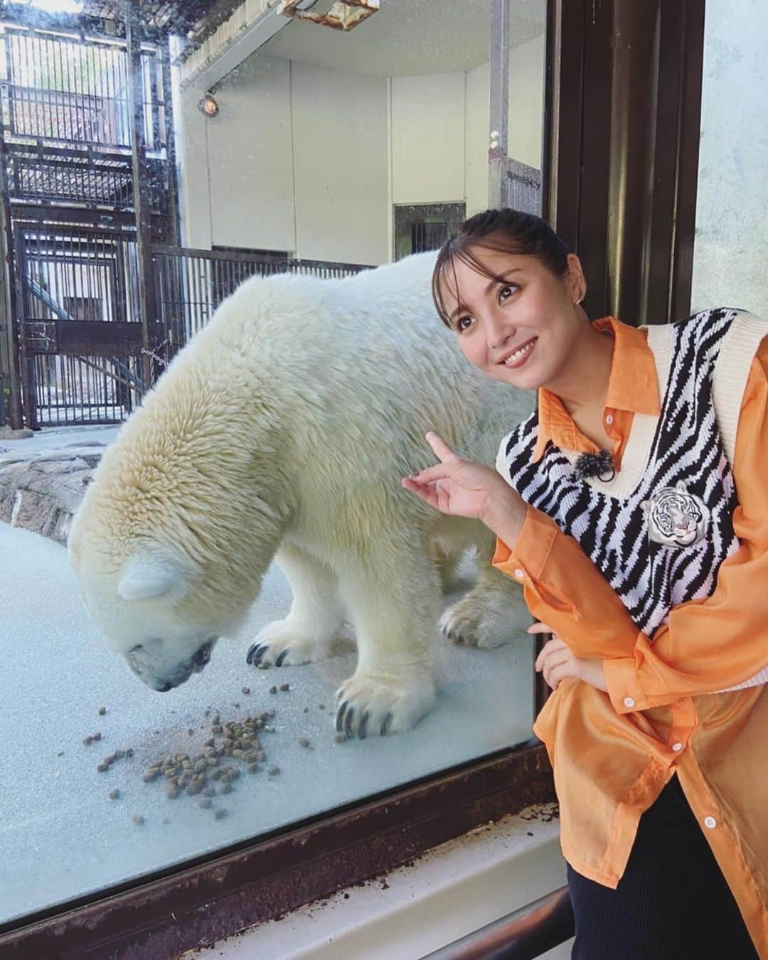 石川恋さんのインスタグラム写真 - (石川恋Instagram)「明日19:00〜 TBS系「サンドウィッチマンのZOO-1グランプリ」 今回は"カンガルー涙の旅立ちSP"です🥺 愛媛県の#とべ動物園 に行って参りました！ 今回の主役・カンガルーのジャンプくん、 有名なホッキョクグマのピースちゃん、 大好きなホワイトタイガーのソソノちゃんなど 可愛い動物たちに会えて今回もとても楽しいロケでした☺️ ぜひチェックしてくださいねーー🦘❤️‍🔥 #ZOO1グランプリ」11月7日 18時34分 - ren_ishikawa