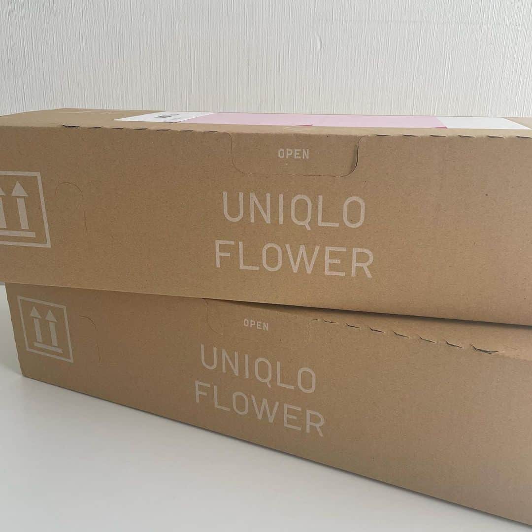eve_mi_nさんのインスタグラム写真 - (eve_mi_nInstagram)「+ UNIQLO FLOWER ❁❁❁  ユニクロのオンラインでお花が買えるの知ってますか？ リーズナブルなのにボリュームたっぷり！ 試しに2束注文してみました☺️ ＊バラ(ホワイト・グリーン) ＊季節限定(11月)  専用箱で届くのでお花も痛まず綺麗なままでした✨ 最近忙しくて気分が下がってたけど、 やっぱりお花があると癒されますね💐  #uniqloflower#ユニクロフラワー#バラ#かすみ草#トルコキキョウ#花束#uniqlo#pr#花のある暮らし#stylehint」11月8日 20時16分 - eve_mi_n