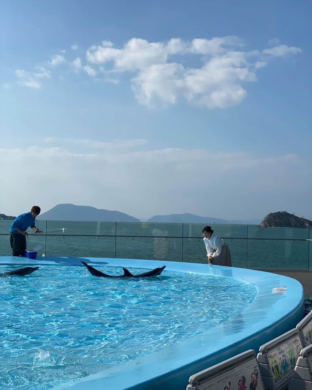 中野美奈子さんのインスタグラム写真 - (中野美奈子Instagram)「秋晴れの空の下、撮影で四国水族館へ！ 子どもと一緒じゃない水族館もゆっくりできてなかなか良かったです😁 お仕事を忘れて楽しんでしまいました。  飼育員の方のご協力のもと、イルカたちもこんな近くまで🐬 可愛いなぁ♡  お昼に食べたハンバーガーも絶品でした！ 四国水族館はごはんも美味しいから嬉しい。  今度は子供と一緒にハンバーガー食べよう🍔 水族館の皆様ありがとうございました。  @shikoku_aquarium   #四国水族館 #撮影 #イルカ #炭火焼きハンバーガー  #香川県 #うどん県それだけじゃない香川県   #中野美奈子」11月8日 21時36分 - minako_nakano.official