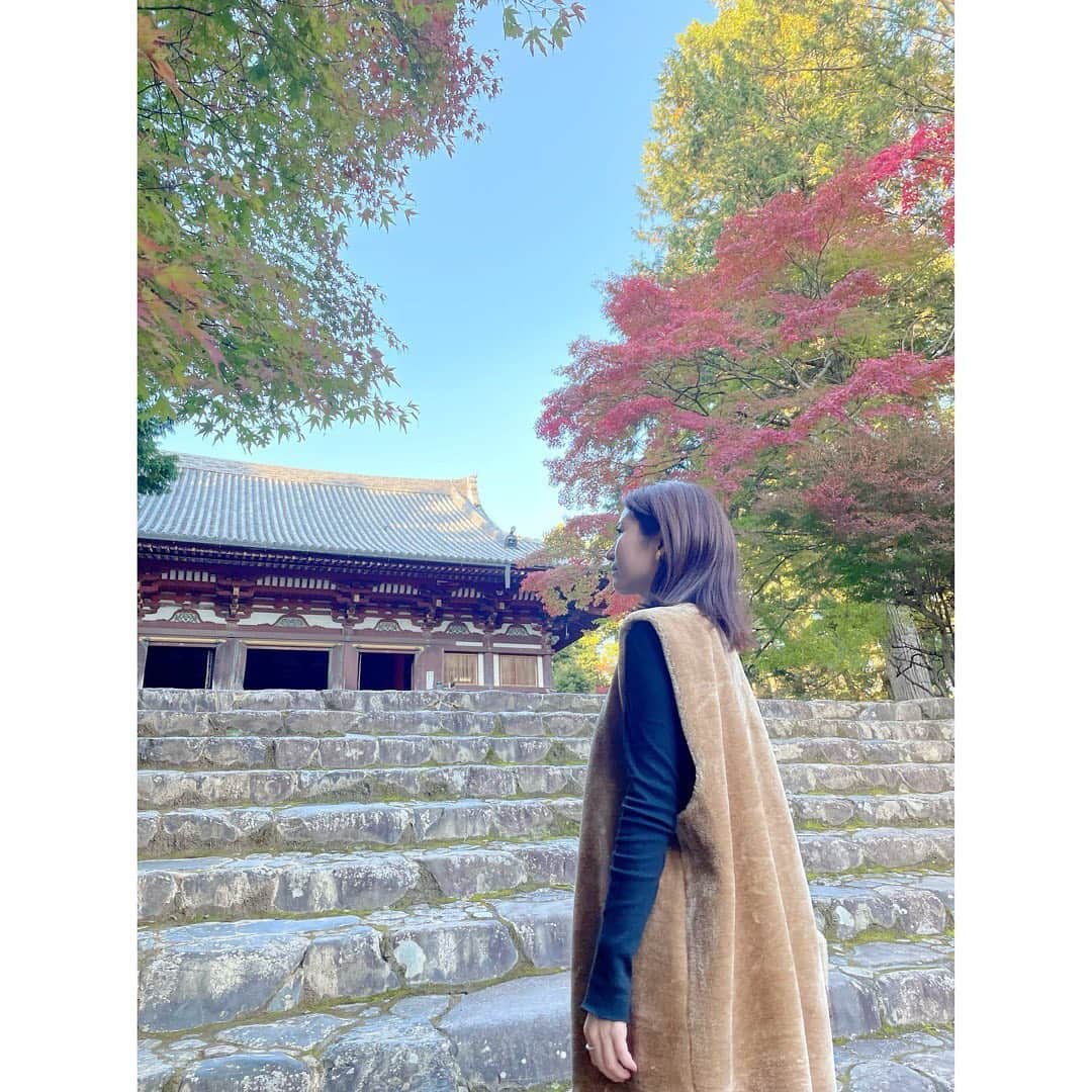 宇賀なつみさんのインスタグラム写真 - (宇賀なつみInstagram)「.  この秋が待ち遠しかったのは、 私だけではないはず。 やっぱり、京都の紅葉は特別ですね‼︎ 何度訪れても飽きません。  夜には、竹灯籠が見せる、 幻想的な秋の古都を味わいました。 半分の月が美しかった…。  さらに、秋の名所＆スイーツチケットで、 梅園のみたらし団子を、お得にいただけました。  思い立ったが吉日。 そうだ、京都行こう‼︎  #そうだ京都行こう  #ひかりの京都  #神護寺 #仁和寺  #PR #宇賀なつみ」11月8日 21時38分 - natsumi_uga