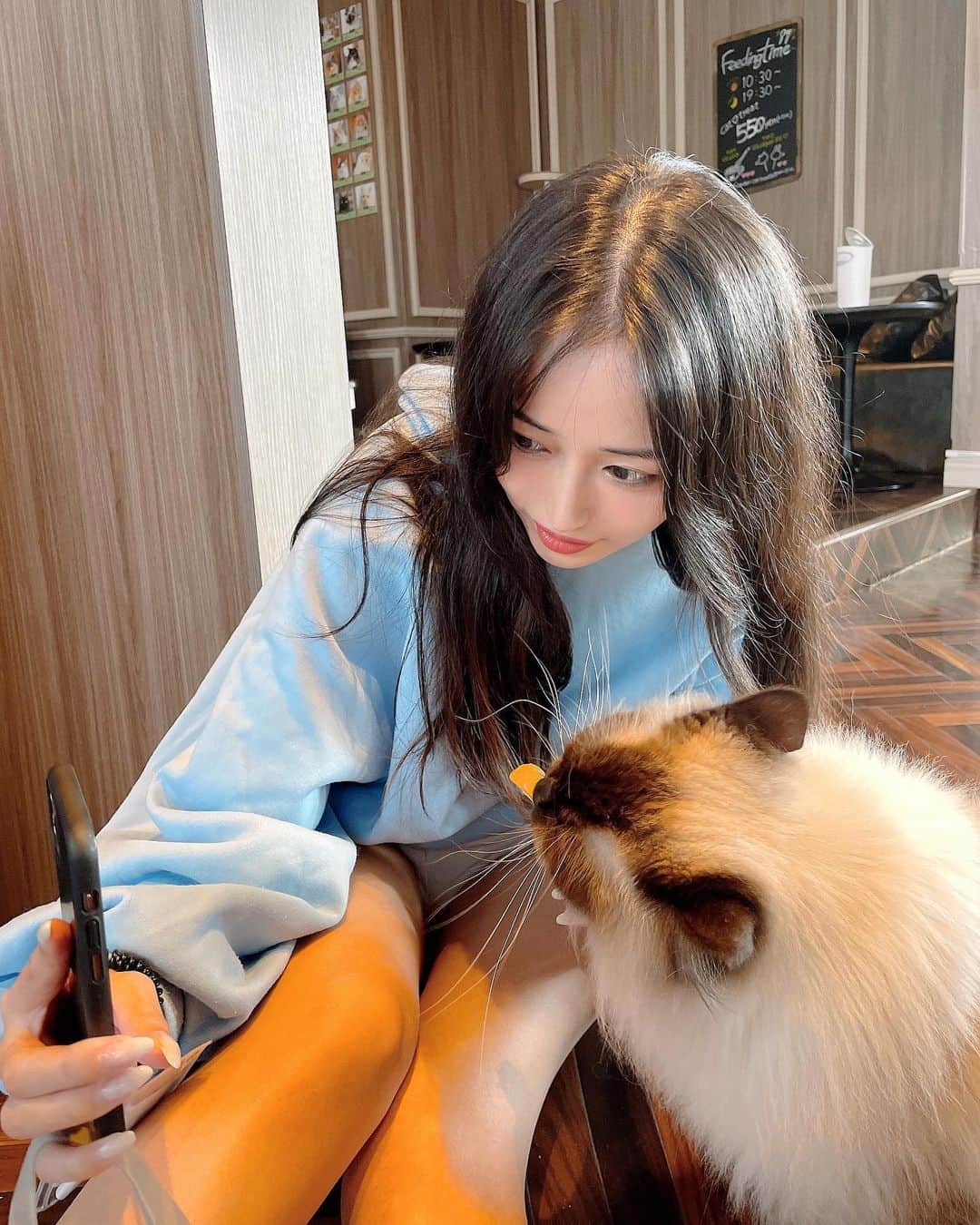天野ちよさんのインスタグラム写真 - (天野ちよInstagram)「この前 @mocha.shibuya に行ってきたよ🐈🐾  もふもふフワフワのかわい子ちゃん達が沢山居た🥹  飲み放題で漫画とかもあって ソファーがあったり ずっと居れる空間だった(笑)  てか寝てる人いた‎‪𐤔𐤔𐤔‬  1時間平日だと1705円とかで飲み放題で猫ともふれあえてこの値段はお得だなと思った✨癒し空間♡  #猫カフェmocha#猫カフェ#PR#渋谷猫カフェ#渋谷カフェ#渋谷#渋谷センター街」11月9日 16時33分 - el_mundo_mar_sol_nail
