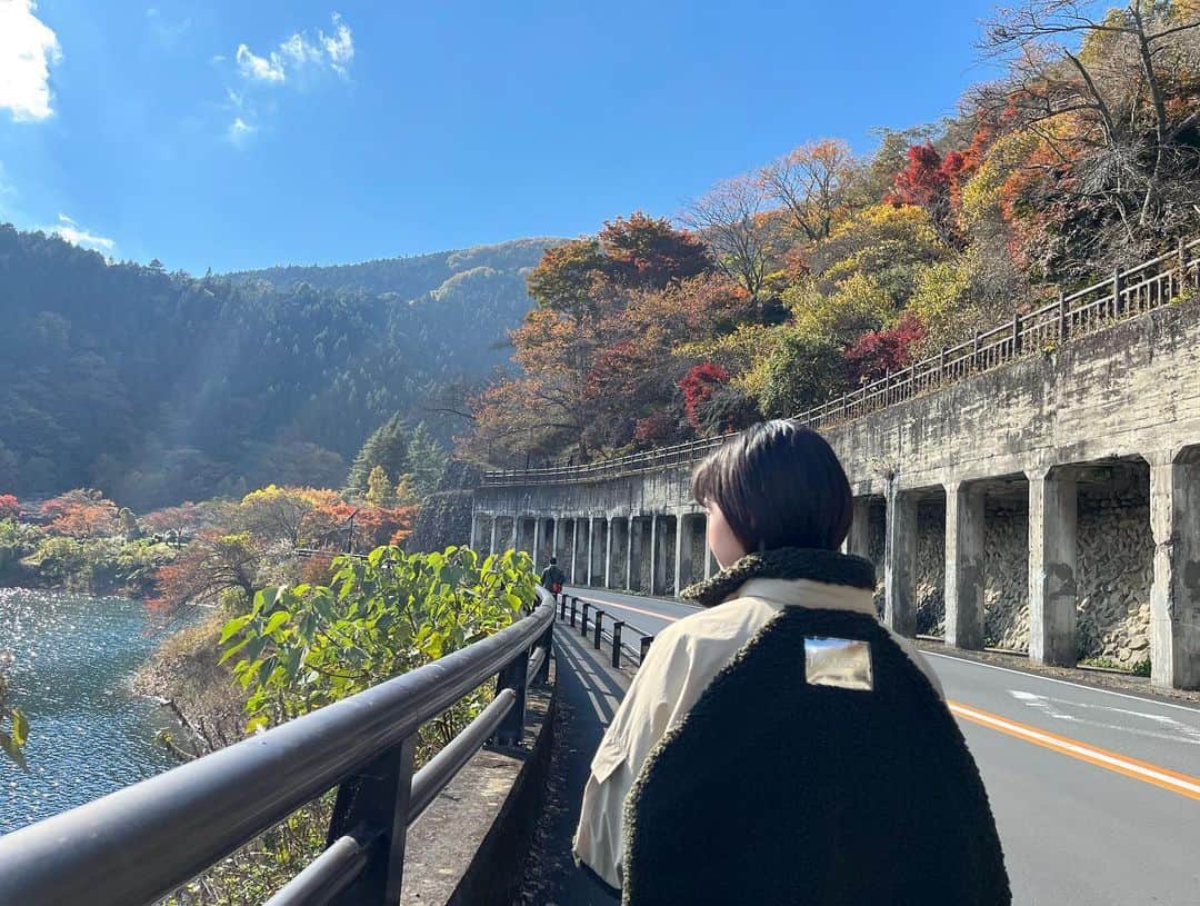 田中瞳さんのインスタグラム写真 - (田中瞳Instagram)「. 休息はとれていますか🌾」11月9日 23時59分 - hitomi_tanaka_9
