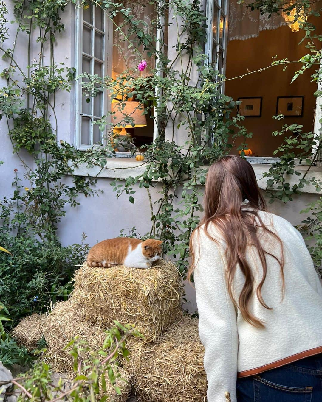 ジェシカ さんのインスタグラム写真 - (ジェシカ Instagram)「🐱🍂☕️🌤️」11月10日 11時39分 - jessica.syj