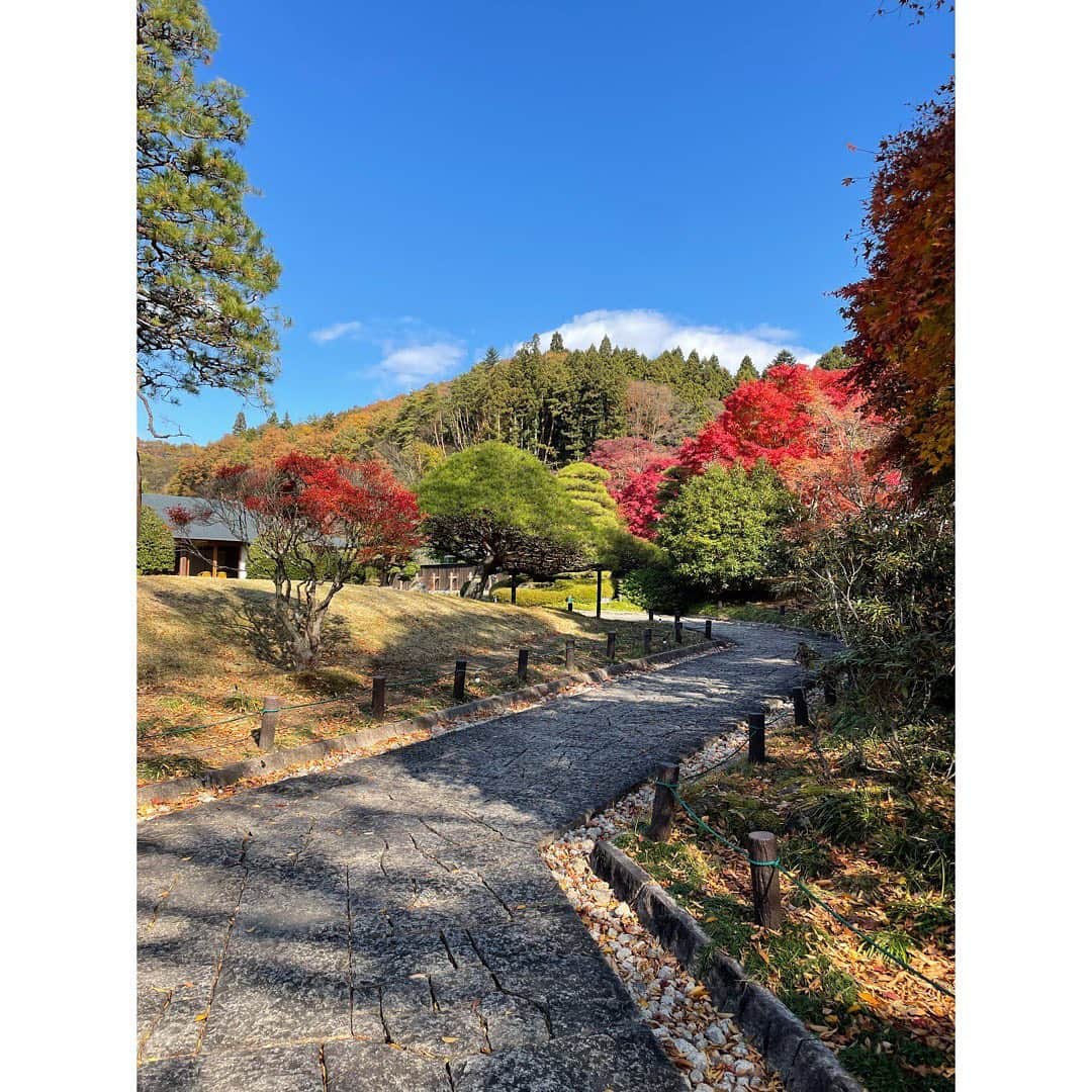 西村ニーナさんのインスタグラム写真 - (西村ニーナInstagram)「綺麗で本当にポストカードみたい✨紅葉もあってこの時期に行って正解だった🍁」11月10日 13時27分 - nishimura_nina