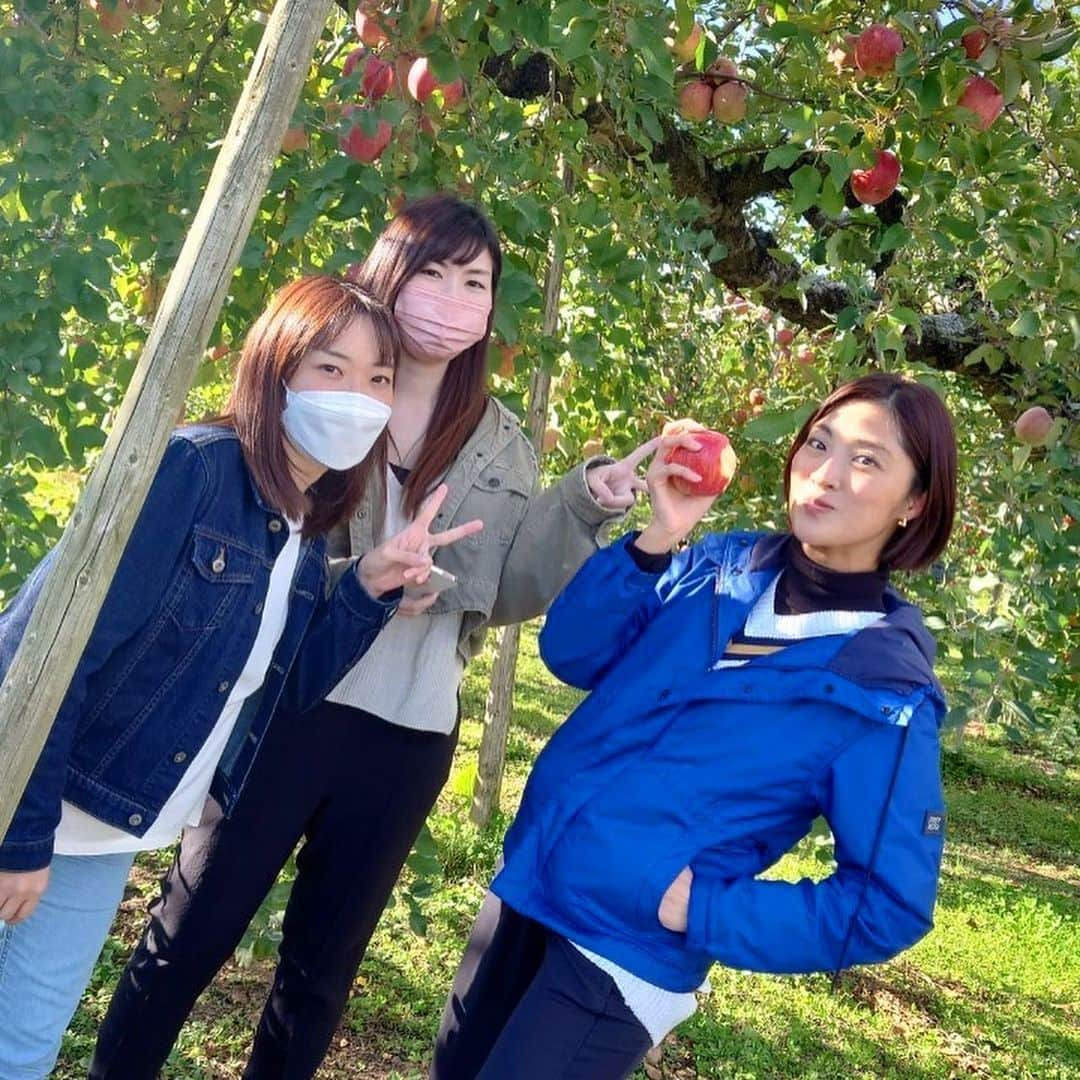 岩本乃蒼さんのインスタグラム写真 - (岩本乃蒼Instagram)「食欲の秋🍂 りんご狩りへ…🍎 ⁡ と言っても、特別な思いのあるりんご畑です。 ⁡ 2019年台風19号で甚大な被害があった長野県。 千曲川の堤防決壊で 自宅や畑に大きな被害があったなか 話を聞かせてくださった りんご農家さんのもとへ 仕事の仲間たちと伺いました。 ⁡ あれから約3年。 『土壌が元通りに戻ることはない。 でも、今年は満足いくりんごがやっと出来たよ』と。 ⁡ あの時、収穫直前で赤く色づいているのに 泥を被ってしまったりんごたちを見て 胸が締め付けられるおもいでした。 ⁡ だからこそ、今年畑でいただいた もぎたてのひとくちめの美味しさは …言葉になりませんでした。 ⁡ 時が経ってもこうして お話しを聞かせていただけること、 普段なかなかできない経験をさせていただいたことに 改めて感謝の思いでいっぱいです🍀 ⁡ #信州 #りんご  #ふじ #秋映 #シナノゴールド #🍎  #newszero」11月10日 22時41分 - noa_iwamoto