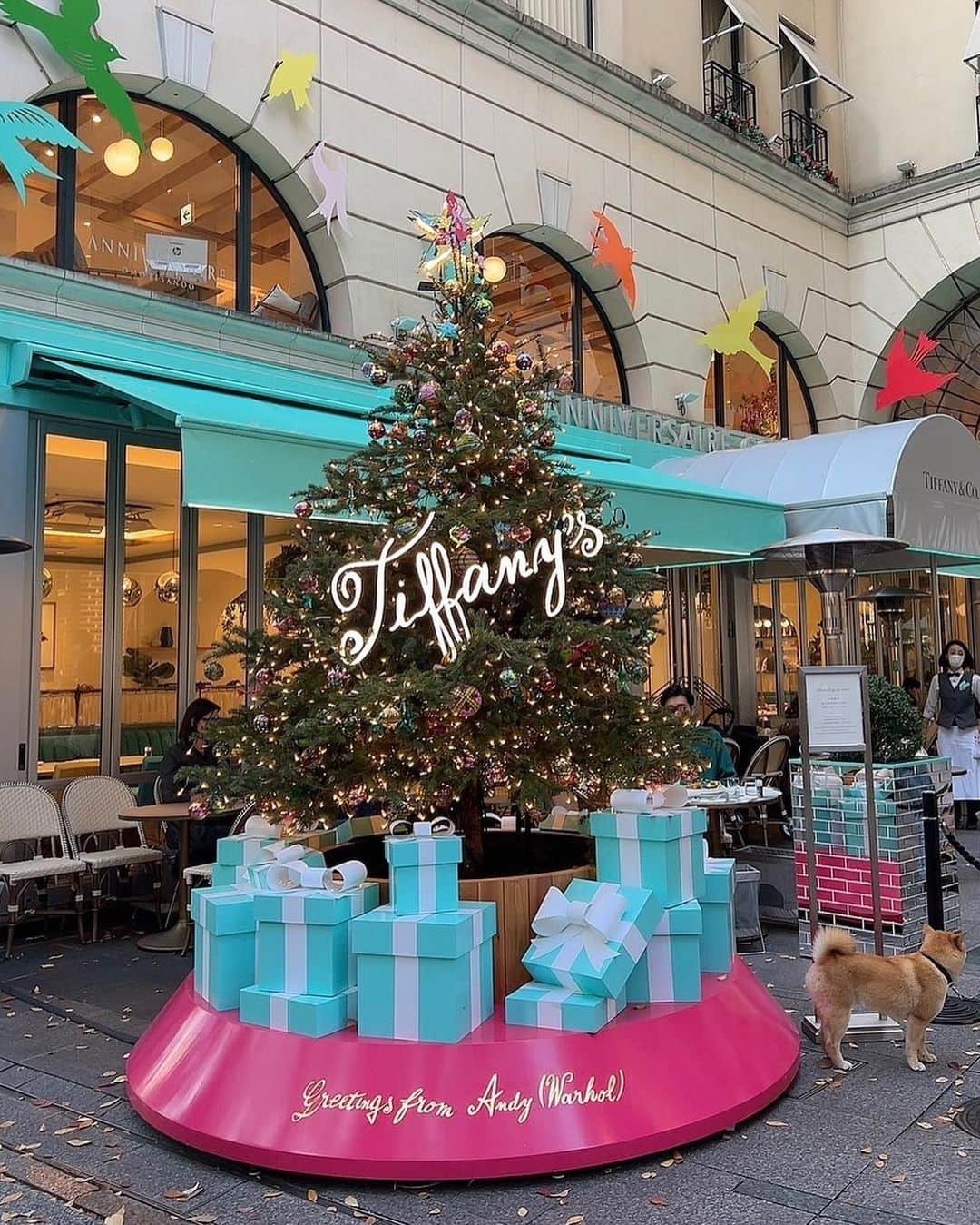 蘭子さんのインスタグラム写真 - (蘭子Instagram)「Tiffany Café & Pop-up Store @anniversaire_omotesando  . 今日から始まったティファニーのカフェ🍰💎💠 表参道の真ん中に佇むツリーが クリスマスな雰囲気満載でわくわく🎄🥹 . 入るには早く行って先に整理券をゲットしないといけないそうなので要注意です👀 . 期間: 11/11〜12/28 📍アニヴェルセル表参道 ☀️：9:00～10:30（予約のみ） 🕛：11:00～16:30（予約なし） 🌙：17:00～21:00（予約優先） . #表参道カフェ#ポップアップストア#ティファニーカフェ#表参道ランチ#カフェ活#カフェ巡り#カフェ好きな人と繋がりたい#カフェ部#インスタ映えスポット#インスタ映えスイーツ#インスタ映えカフェ#映えスポット#映えカフェ#映えスイーツ#東京カフェ#渋谷カフェ#原宿カフェ#ポートレートしま専科#ポトレ#ポトレのセカイ#ファインダー越しの私の世界 #gydaコーデ#冬コーデ#きょコ#今日のコーデ#白コーデ」11月11日 19時13分 - xx_ranko_xx