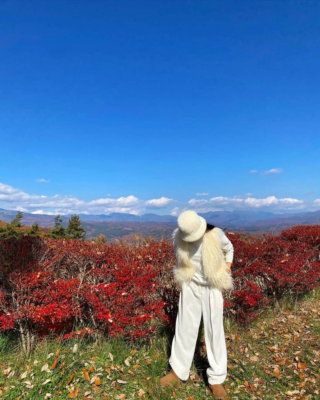 十枝梨菜さんのインスタグラム写真 - (十枝梨菜Instagram)「🦢🍂🍁」11月11日 20時03分 - rinatoeda0611