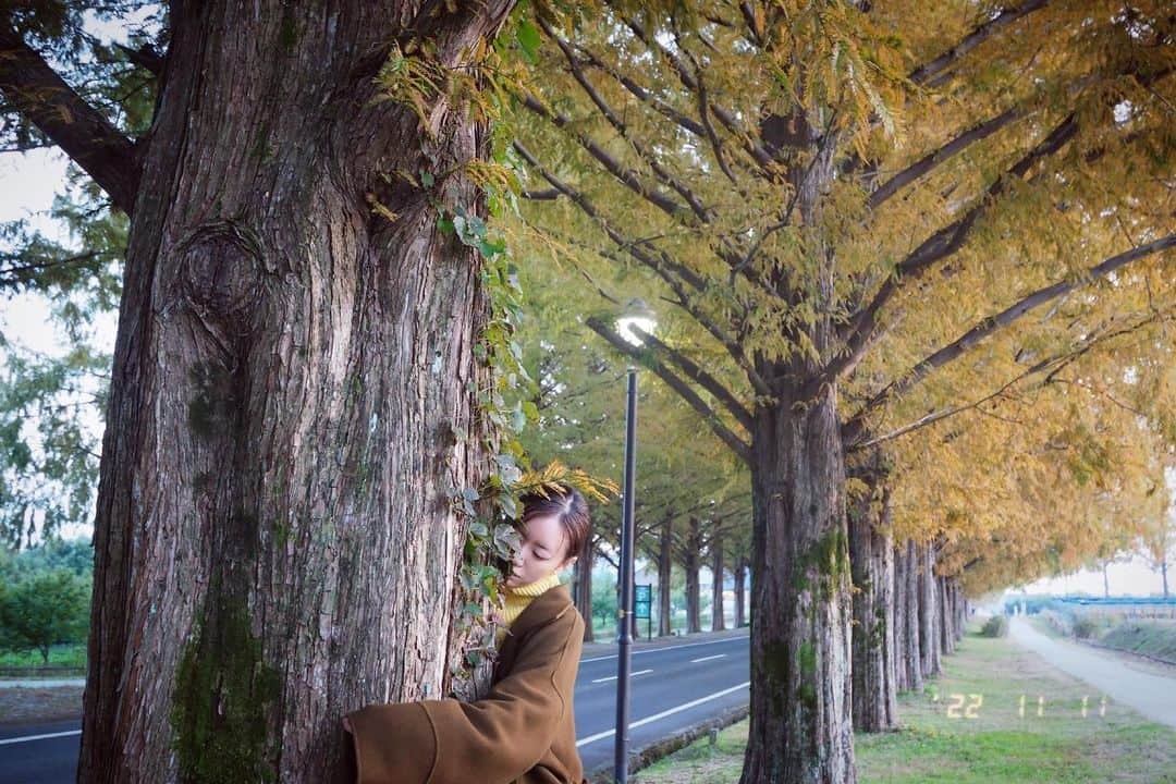 松本まりかさんのインスタグラム写真 - (松本まりかInstagram)「抱き抱かれ 私も紅葉します  🍁  #メタセコイア #撮休 #22/11/11」11月11日 23時18分 - marika_matsumoto