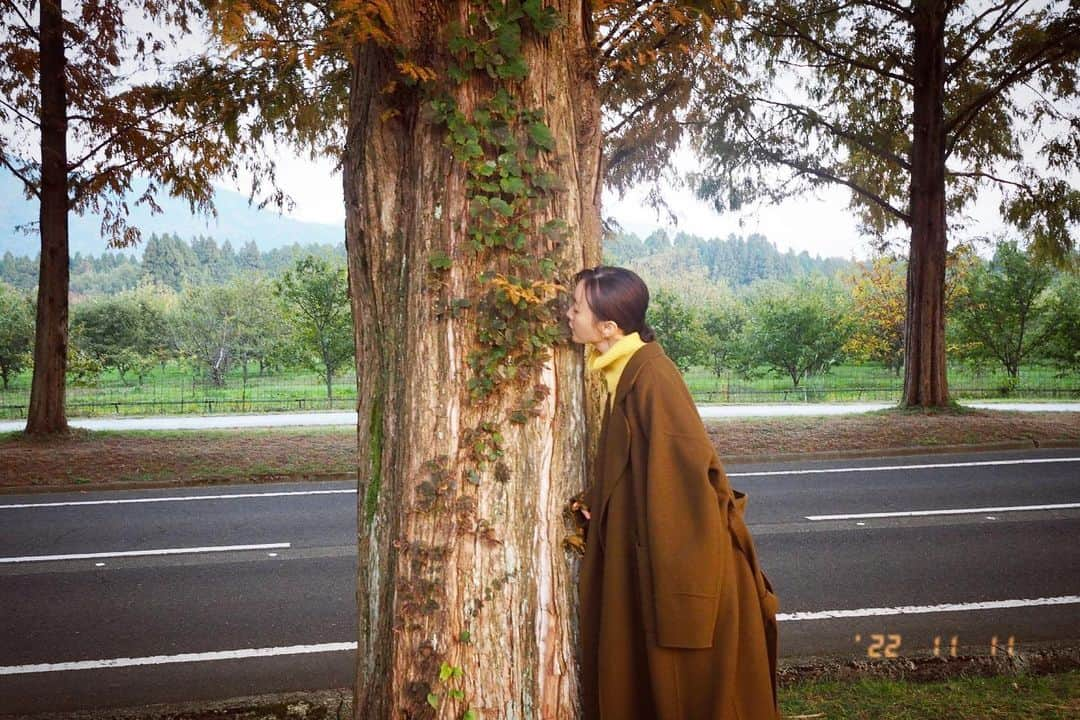 松本まりかさんのインスタグラム写真 - (松本まりかInstagram)「抱き抱かれ 私も紅葉します  🍁  #メタセコイア #撮休 #22/11/11」11月11日 23時18分 - marika_matsumoto