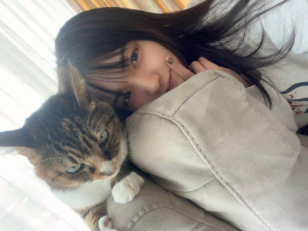 道重さゆみさんのインスタグラム写真 - (道重さゆみInstagram)「少し前のセーラとの写真でおはようございます❣️🐈今日もよろしくお願いします✨  セーラがソファで爪研ぎしてるところをお邪魔しました。📷笑 ソファの外側で爪研ぎしてたから写真だとセーラ落ちそうに見える☺️❤️かわいい  #セーラ #さゆセラ」11月12日 7時38分 - sayumimichishige0713