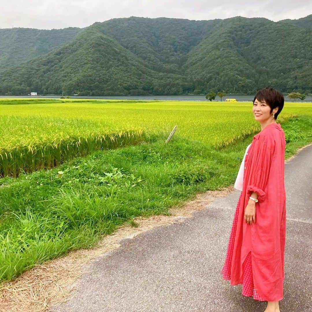 村井美樹さんのインスタグラム写真 - (村井美樹Instagram)「リゾートビューふるさとで行く秋の大糸線の旅🍁  #信濃大町駅 から北に進むと、沿線に　#仁科三湖（ #木崎湖 #中綱湖 #青木湖 ）が見えてきます。湖のすぐそばを走ったり、田園と湖の風景を楽しんだり。大糸線で車窓が美しいおすすめのスポットです☺️無人駅の #稲尾駅 も、のどかな田んぼの景色が素敵ですよ✨  #白馬駅 に降りたら、話題の #白馬岩岳マウンテンリゾート へ。 北アルプスを一望できる絶景テラス #白馬マウンテンハーバー や、ハイジ気分で #ヤッホースイング が楽しめます。私が行った時は真っ白だったので、またリベンジしたいなぁ…！  #南小谷駅 からバスで向かった先の #オタリアンジェラート は、小谷村をはじめ、長野県産の素材を使用したジェラートが味わえます🍨  詳しくはナガトリチャンネル @nagatori_channel のYouTubeでご紹介しています☺️  ↑ハイライトから飛べます。  #大糸線 #信濃大町観光大使 #リゾートビューふるさと」11月12日 12時08分 - miki_murai_